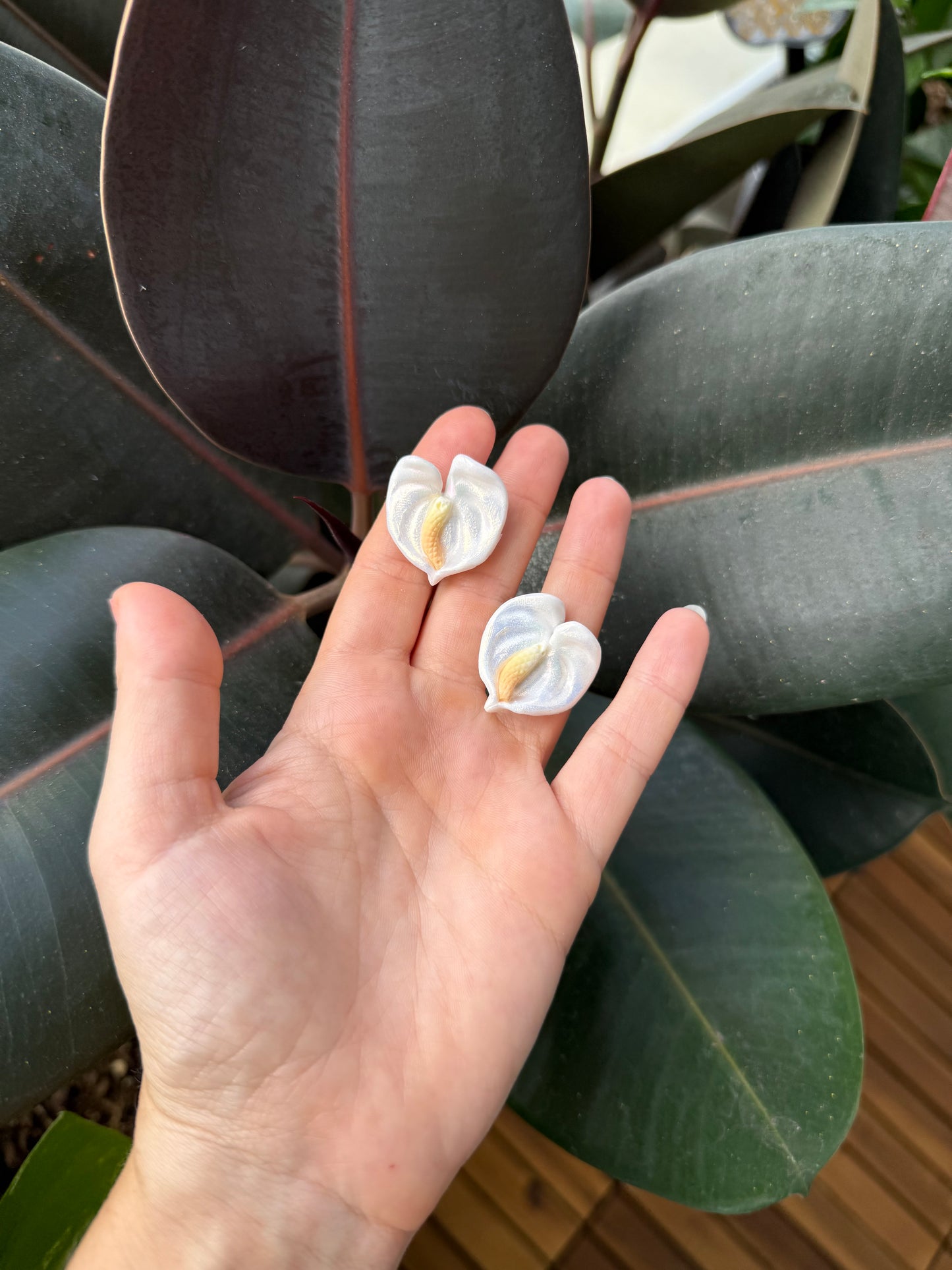 Clip On Earrings