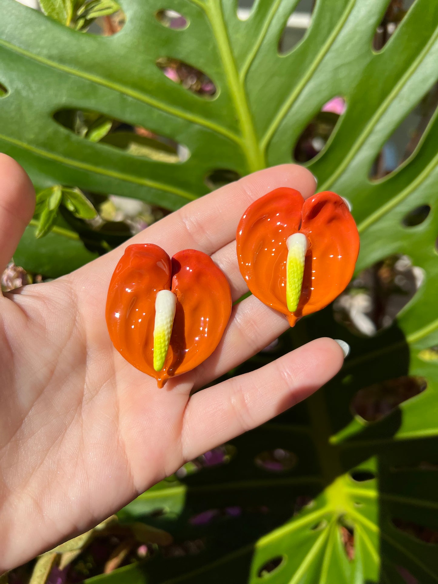Anthurium Stud Aries