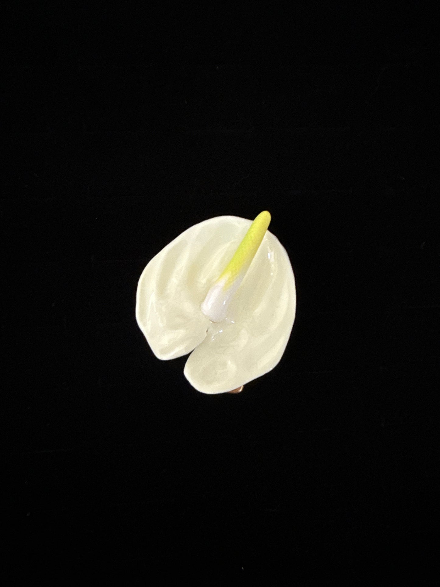 Anthurium Hair Clips