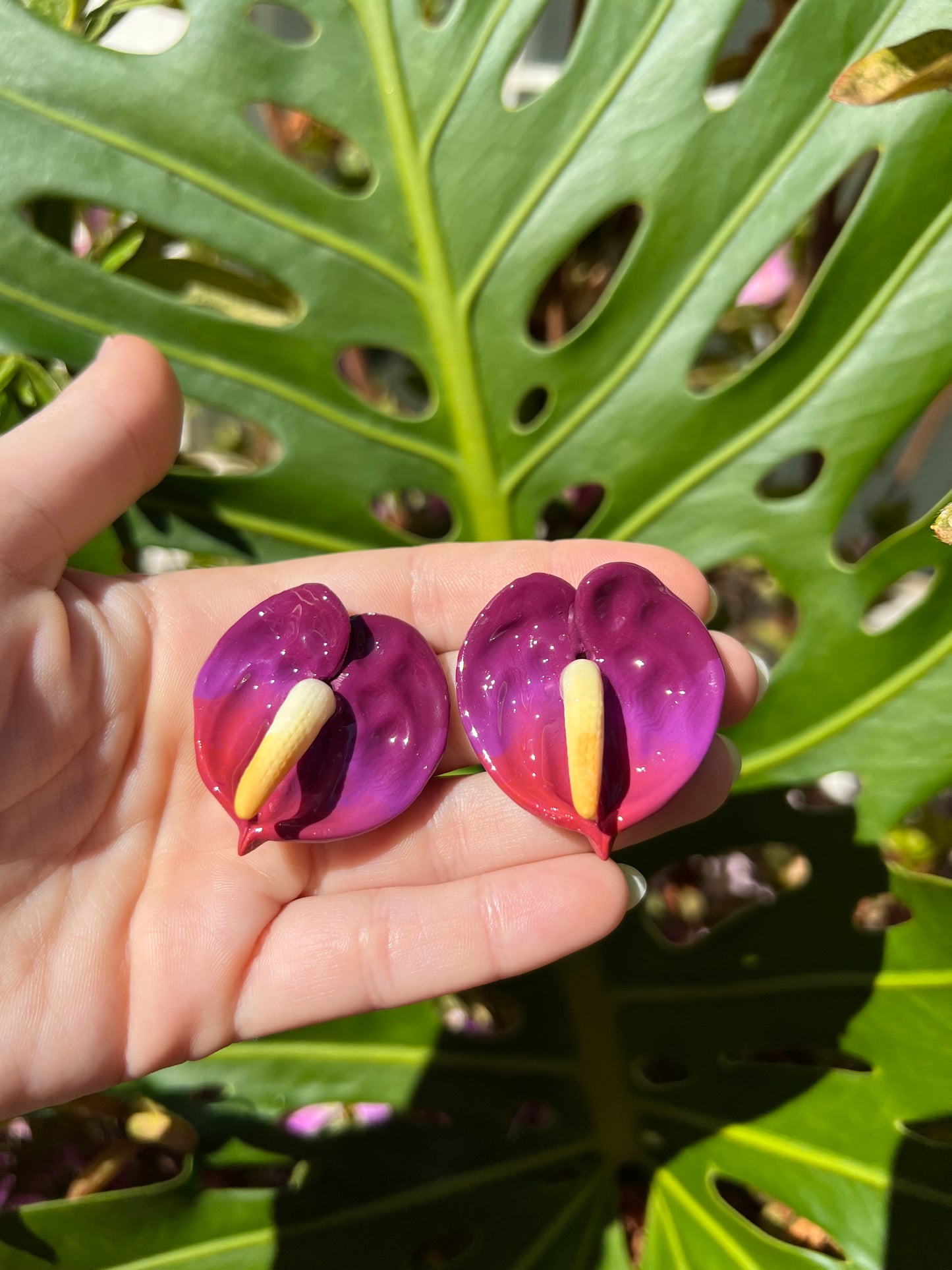 Anthurium Stud Merlot