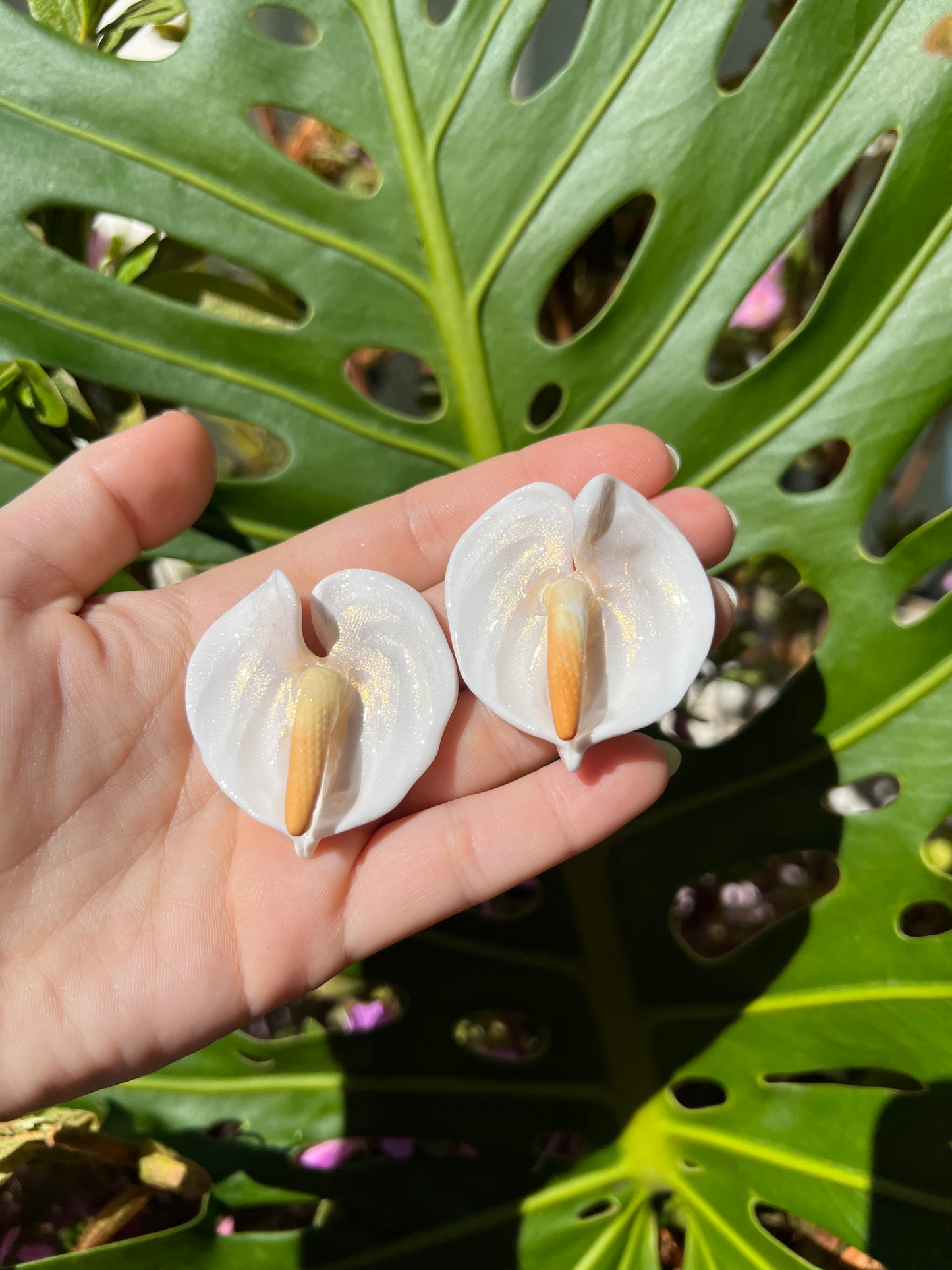 Anthurium Stud Hint of Gold Shimmer