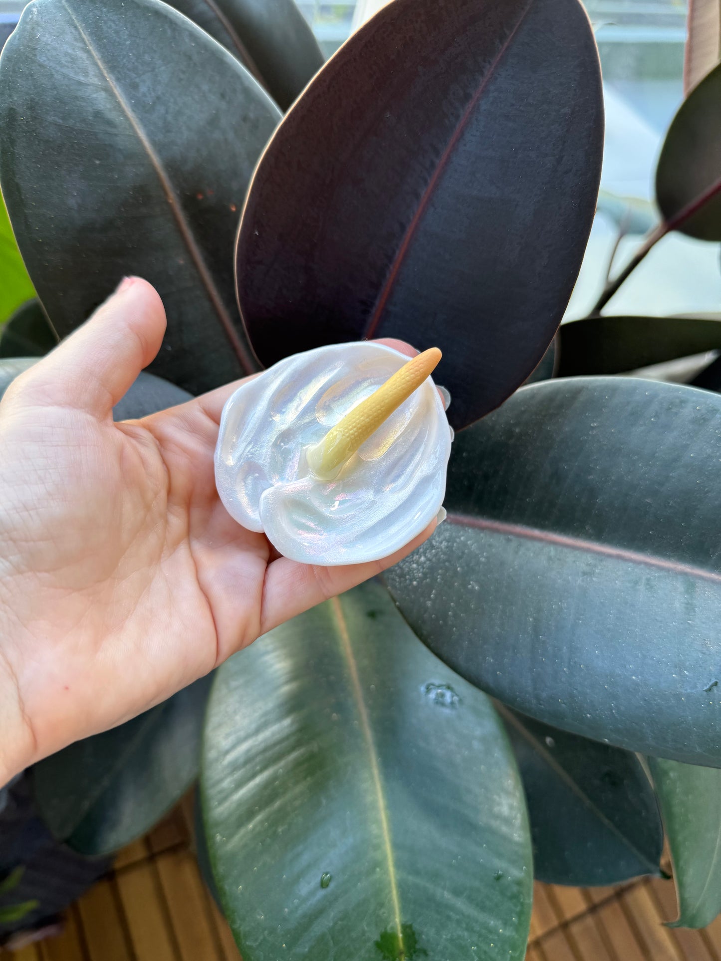 Anthurium Hair Clips & Picks