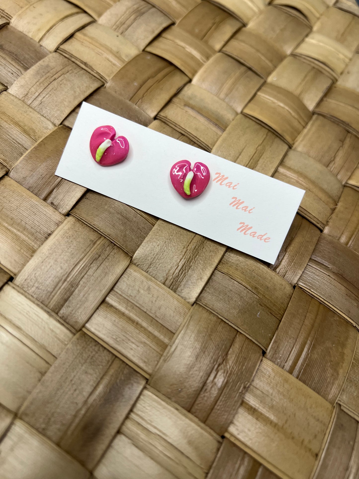 Mini Anthurium Pinky Stud