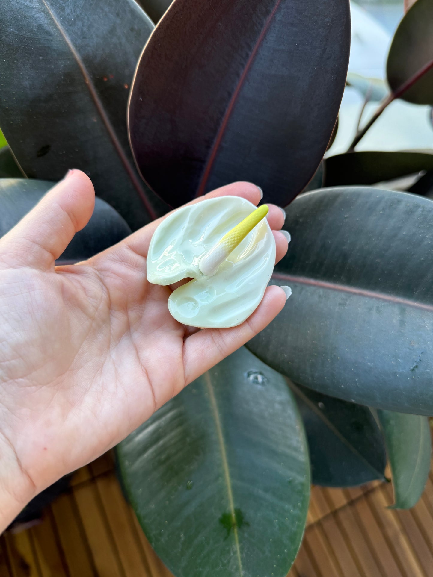 Anthurium Hair Clips & Picks