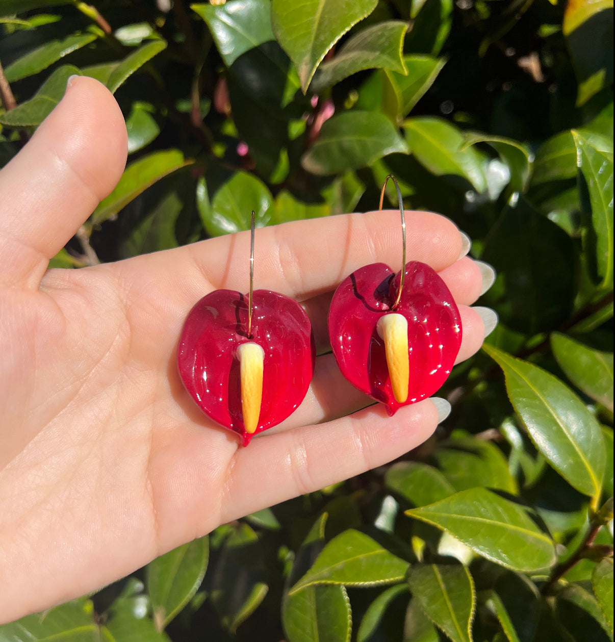 New Anthurium Hoops