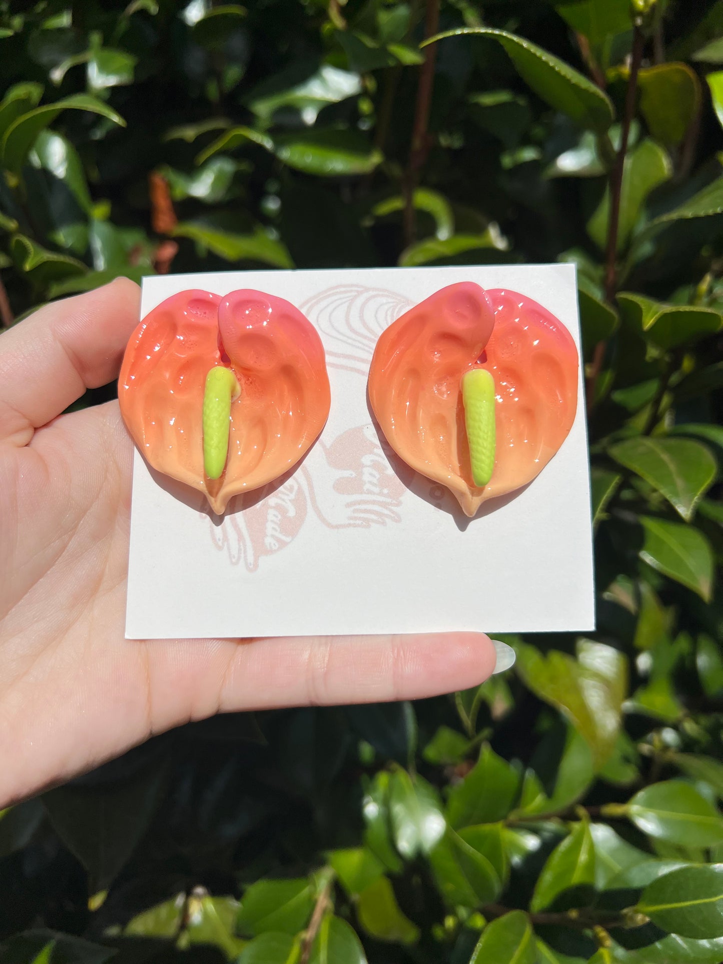 Sunset Anthurium Stud