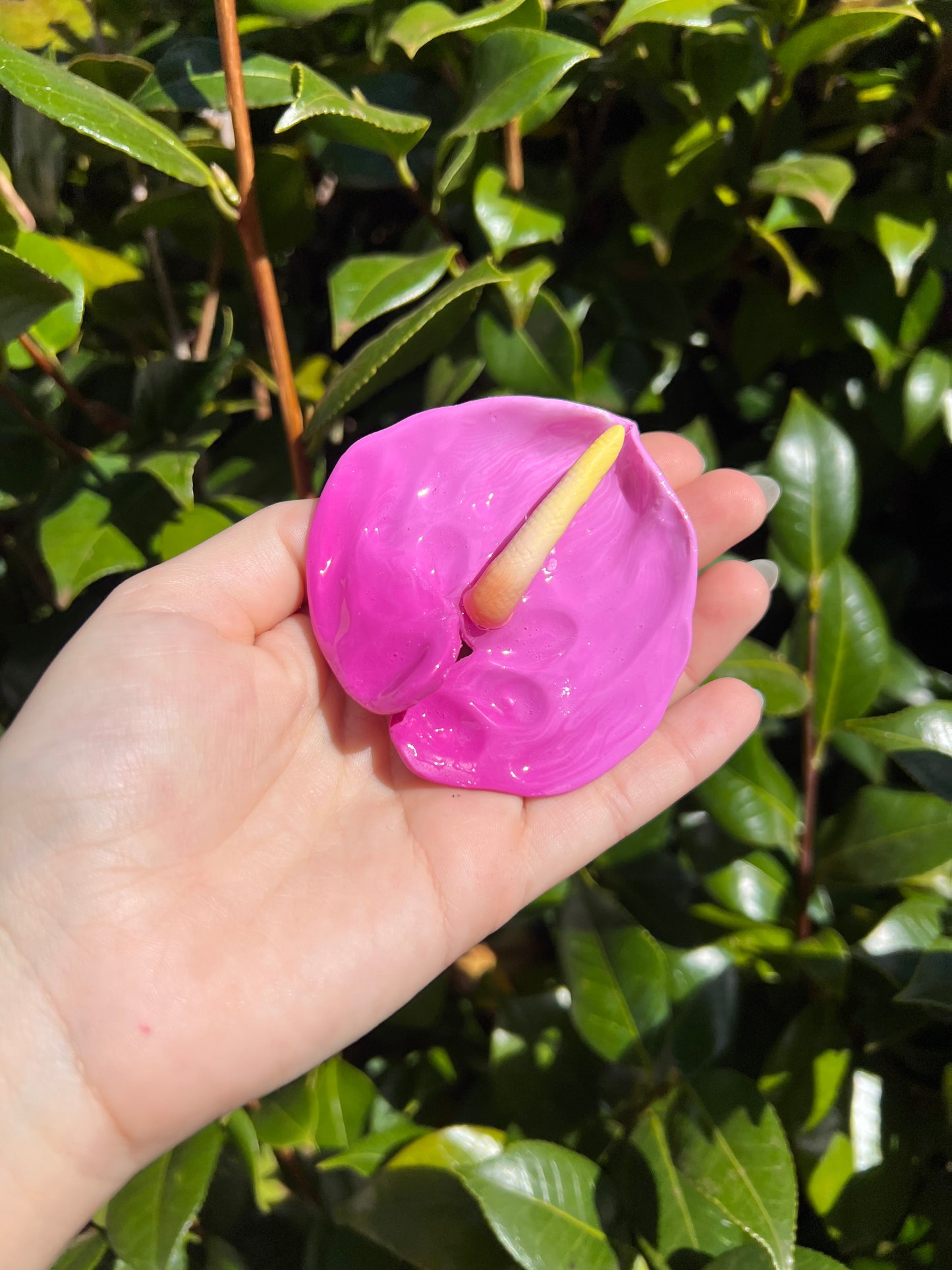 Anthurium Hair Clips