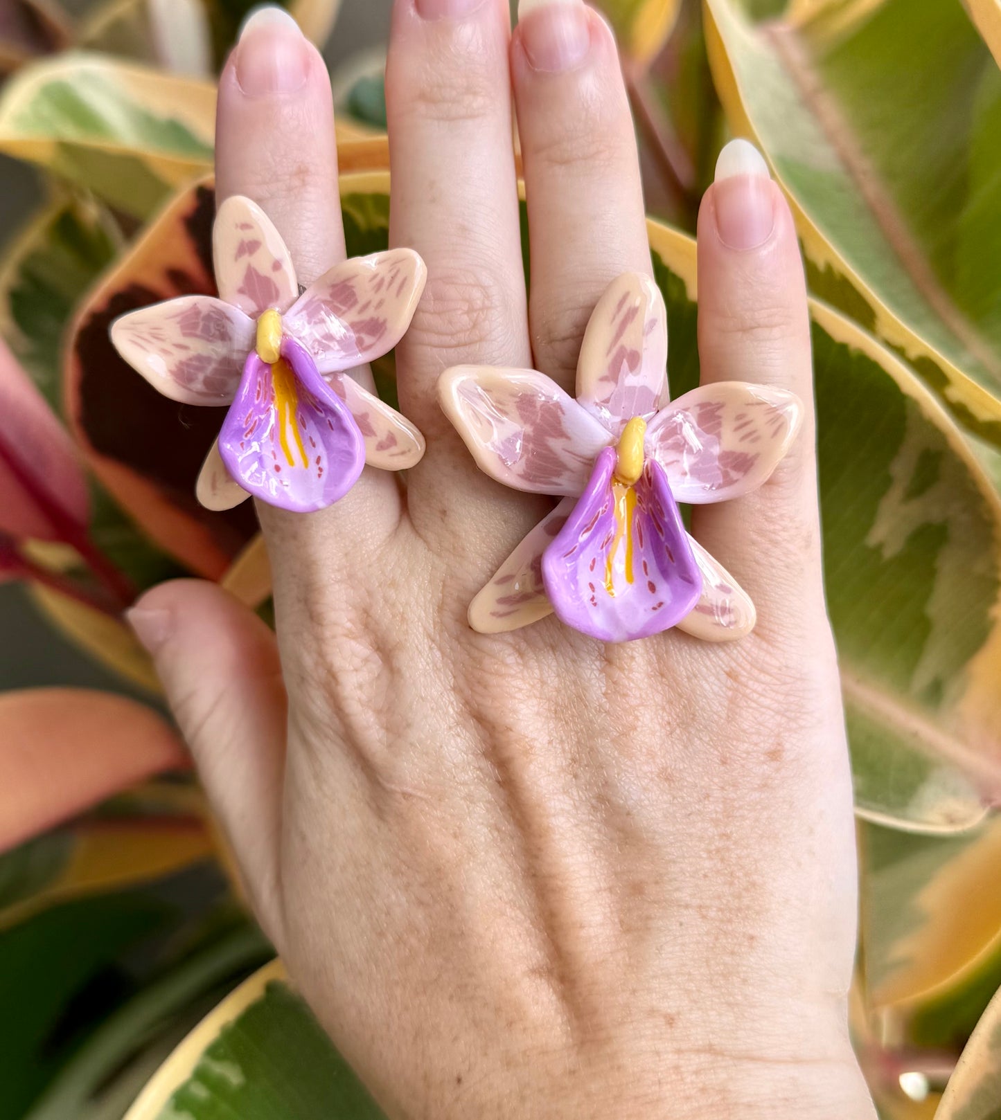Orchid Rings