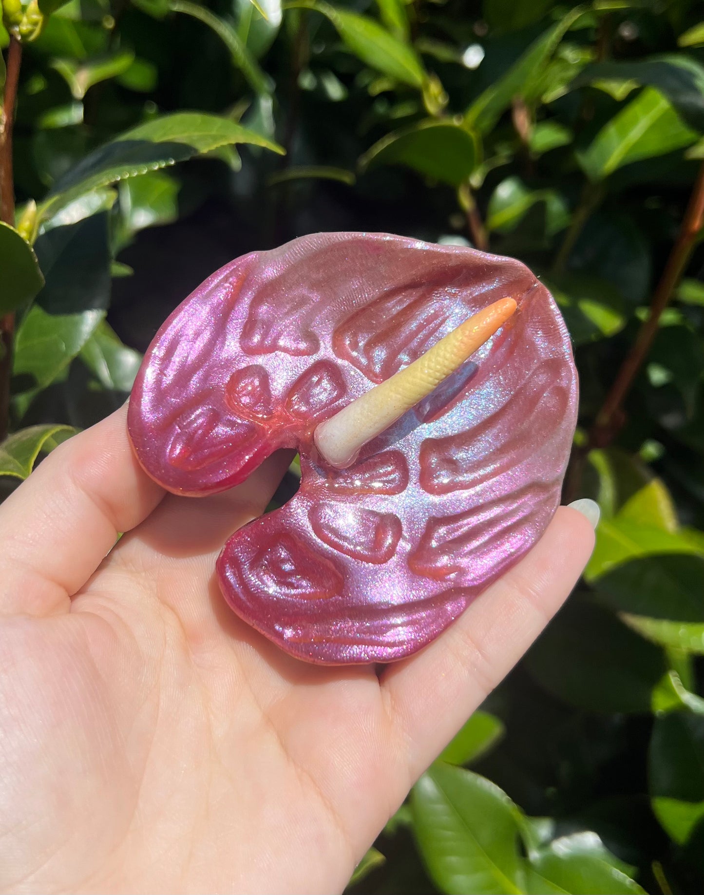 Anthurium Hair Clips