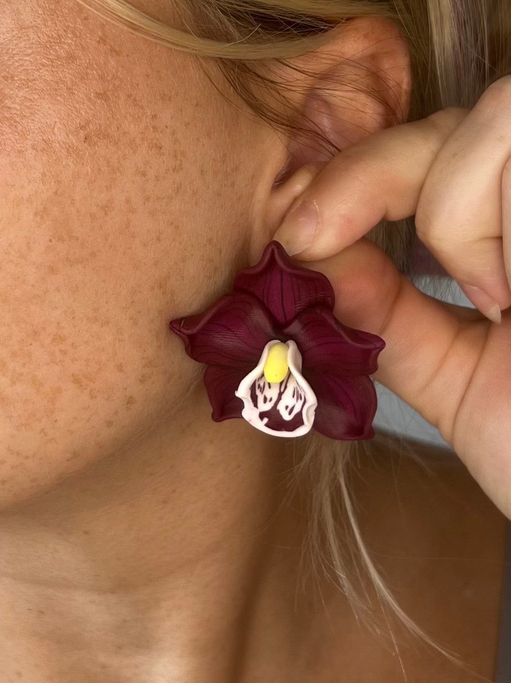 Dark Maroon Cymbidium Orchid Stud