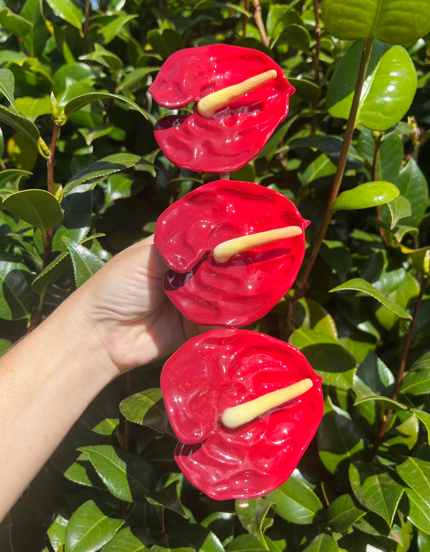 Anthurium Hair Clips