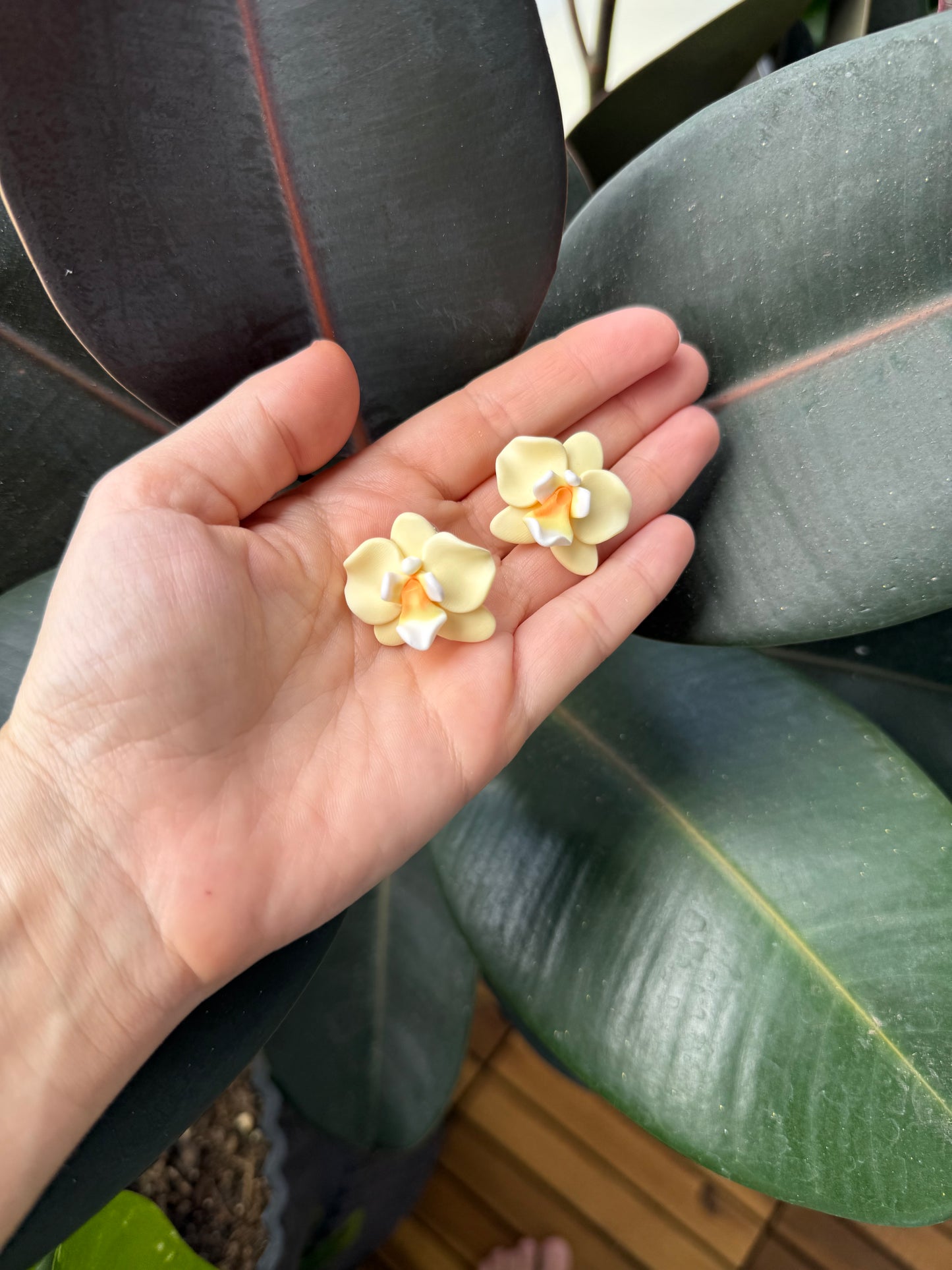 Clip On Earrings