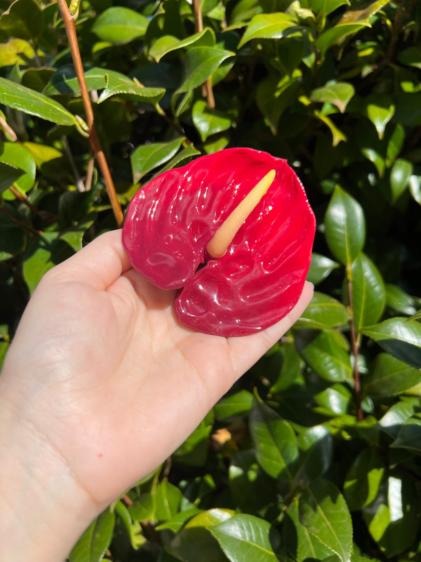 Anthurium Hair Clips