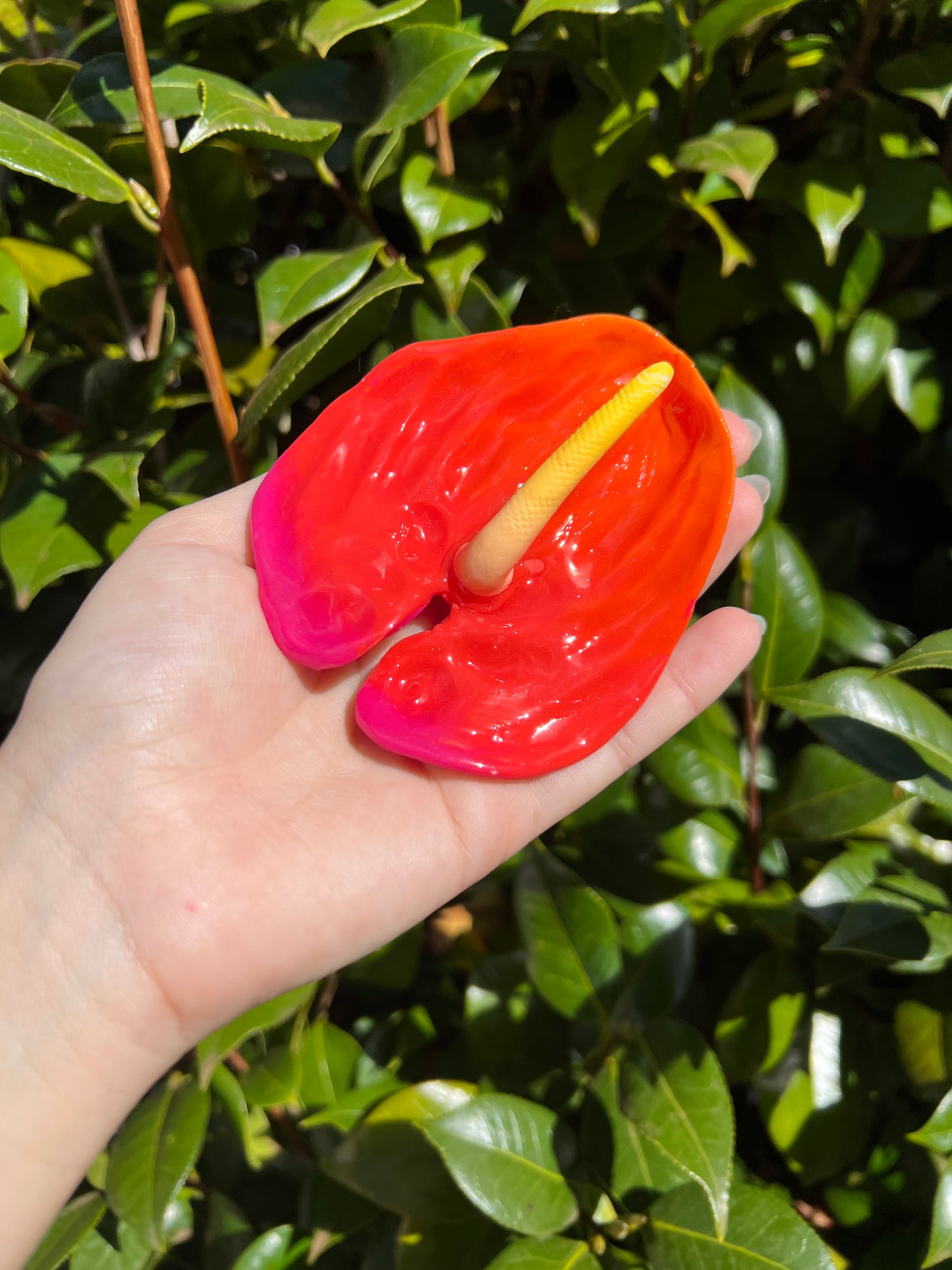 Anthurium Hair Clips