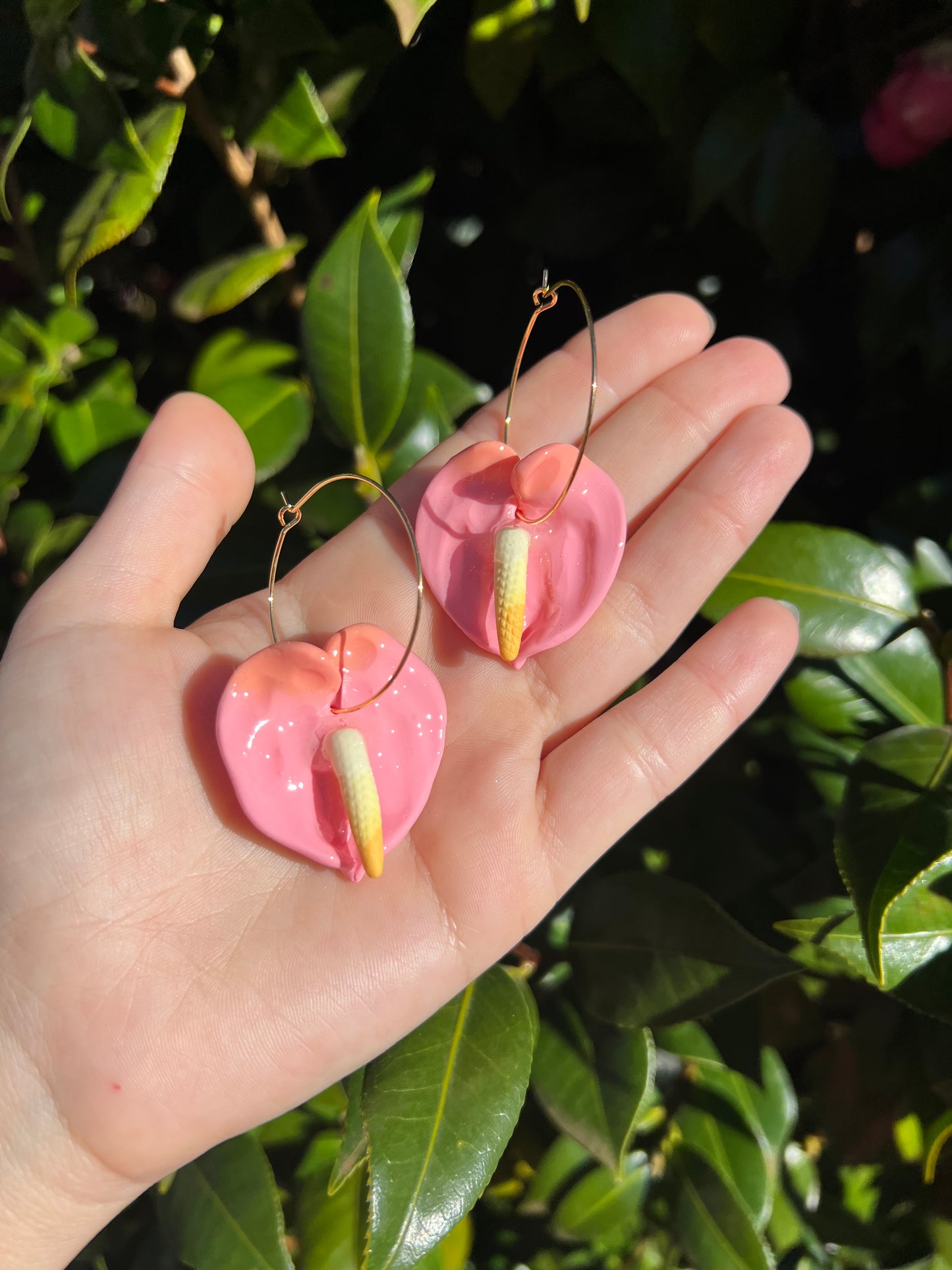 Anthurium Hoop Bubblegum