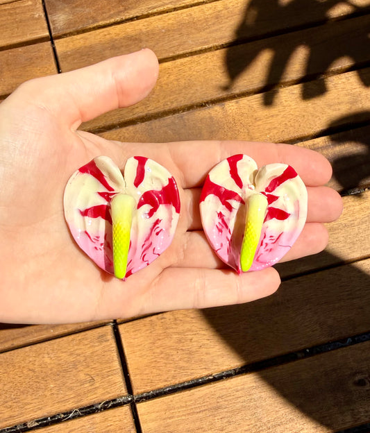 Custom for Alohiwai
