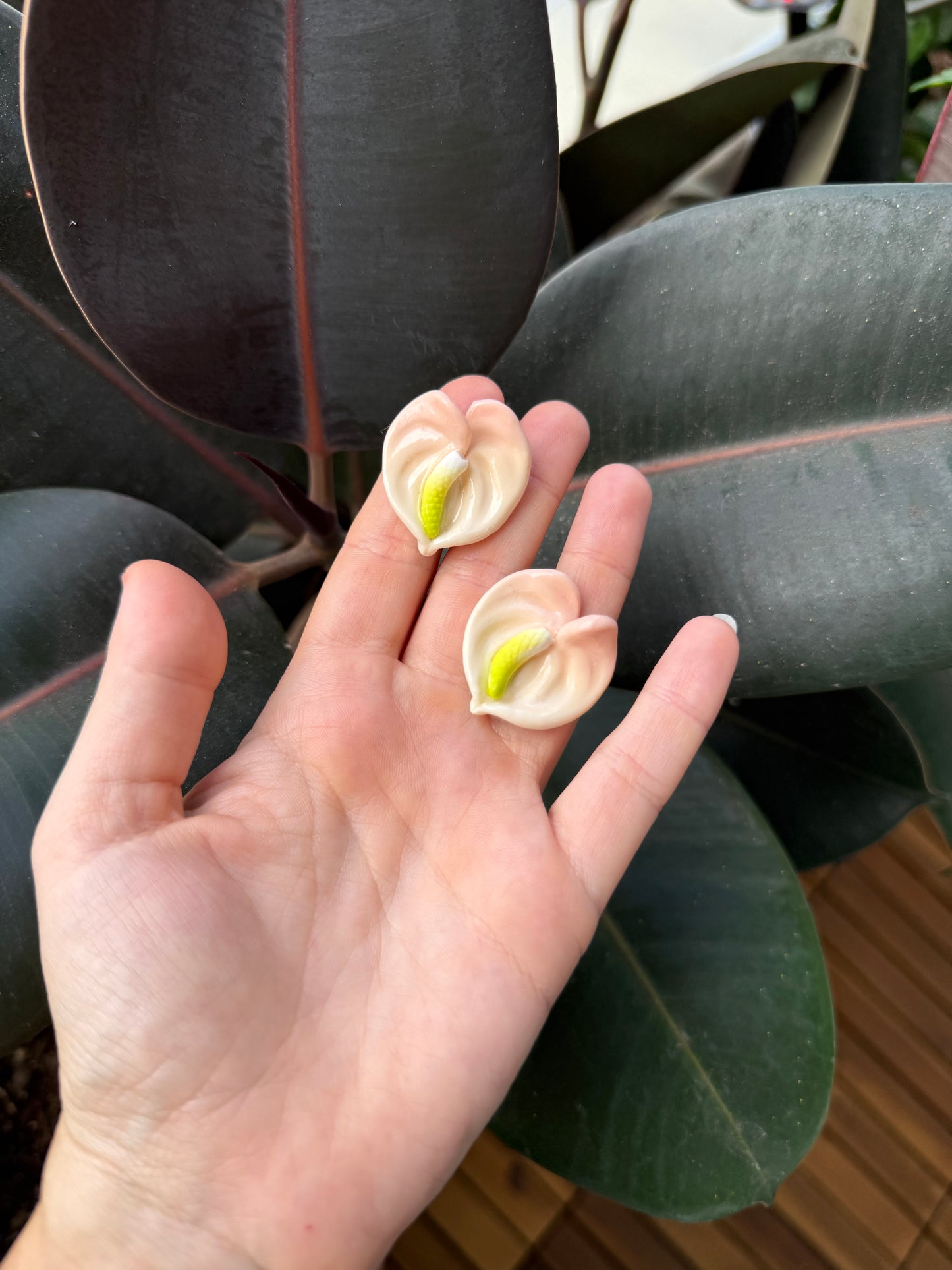 Clip On Earrings