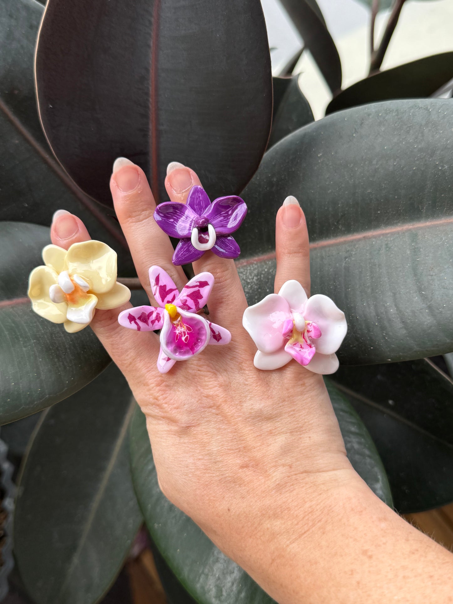Orchid Rings