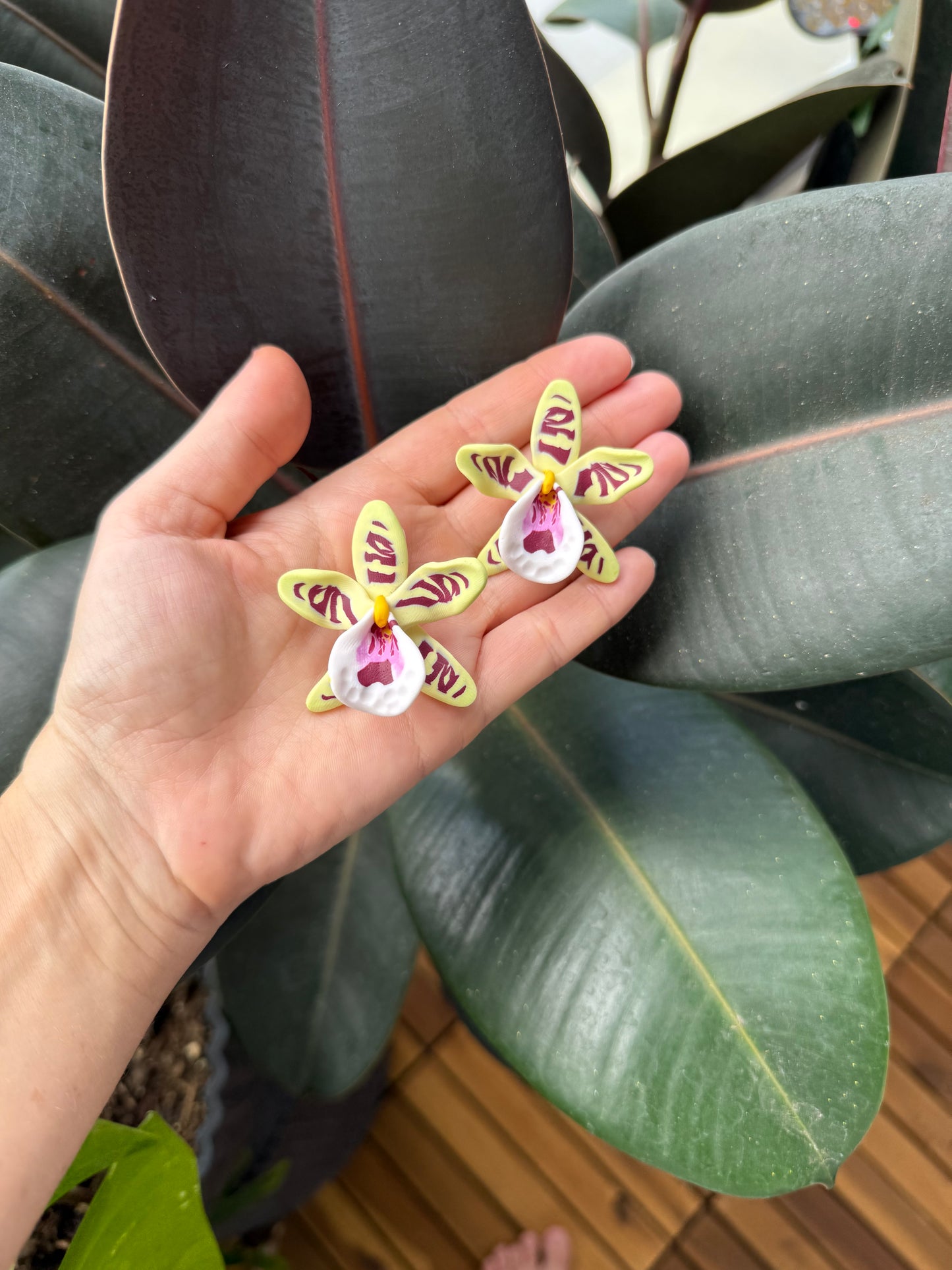 Clip On Earrings