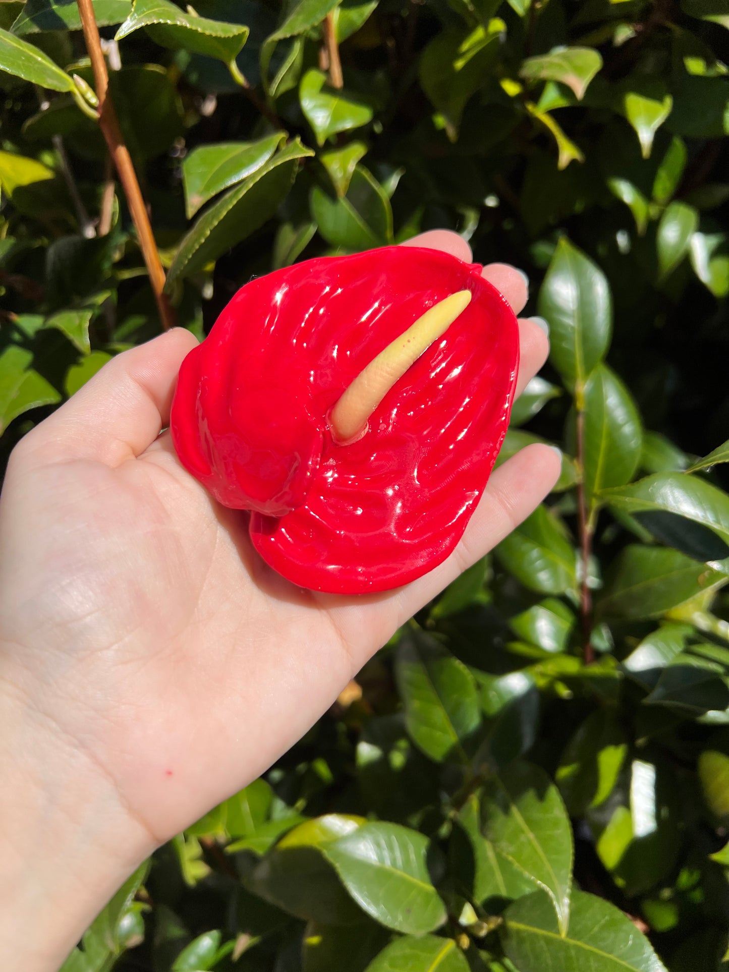 Anthurium Hair Clips