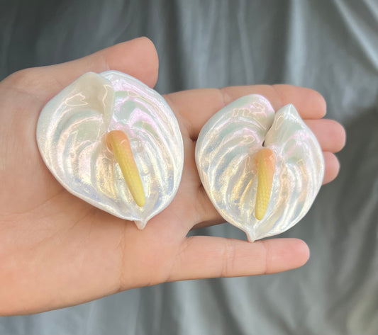 Pearlescent Anthurium Stud