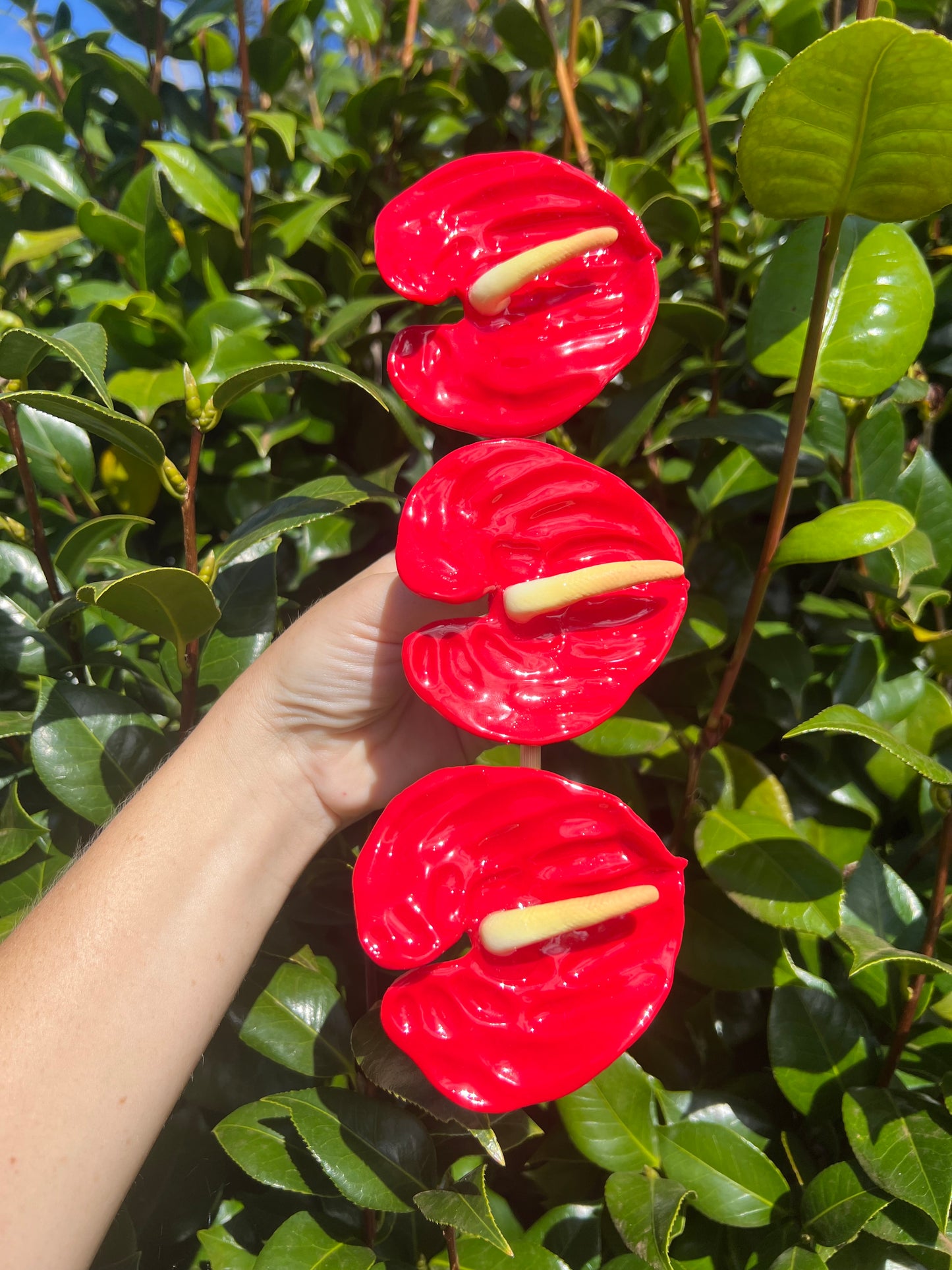 Anthurium Hair Clips