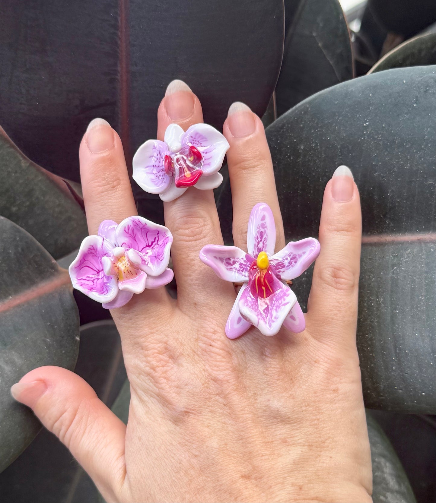 Orchid Rings