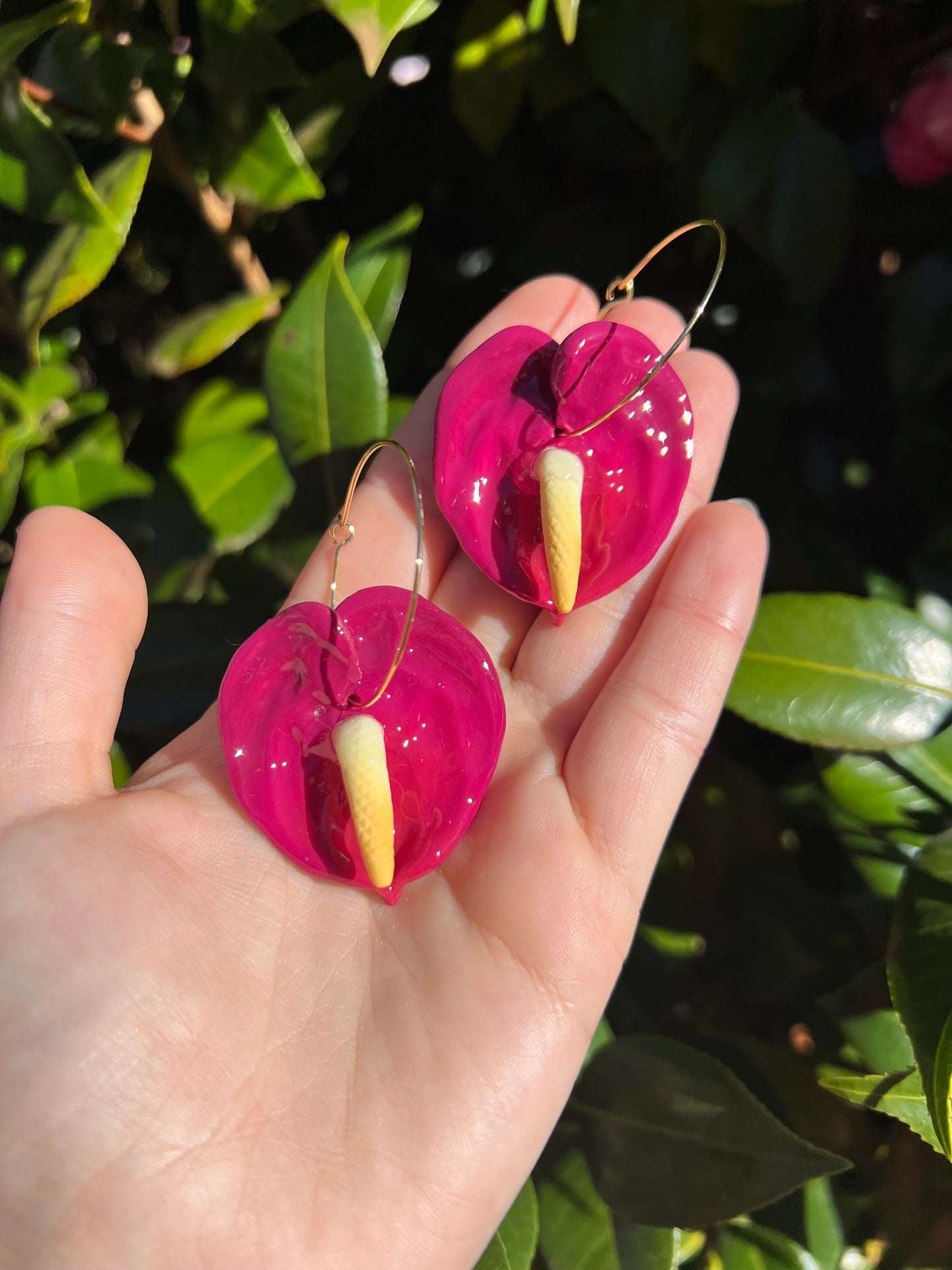 Anthurium Hoop Love