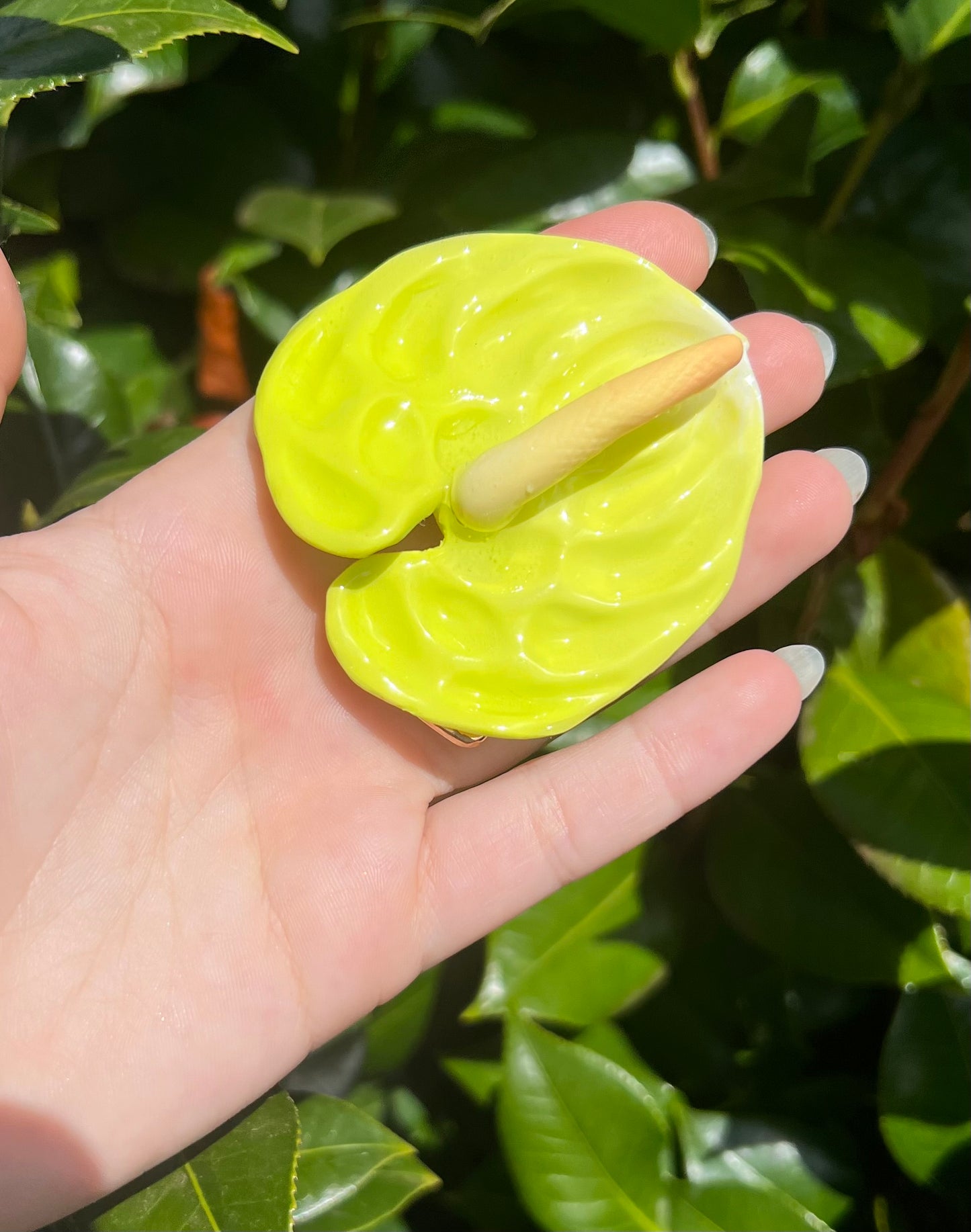 Anthurium Hair Clips