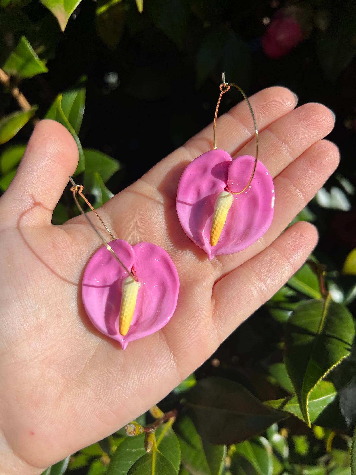 Anthurium Hoop Sweet Heart