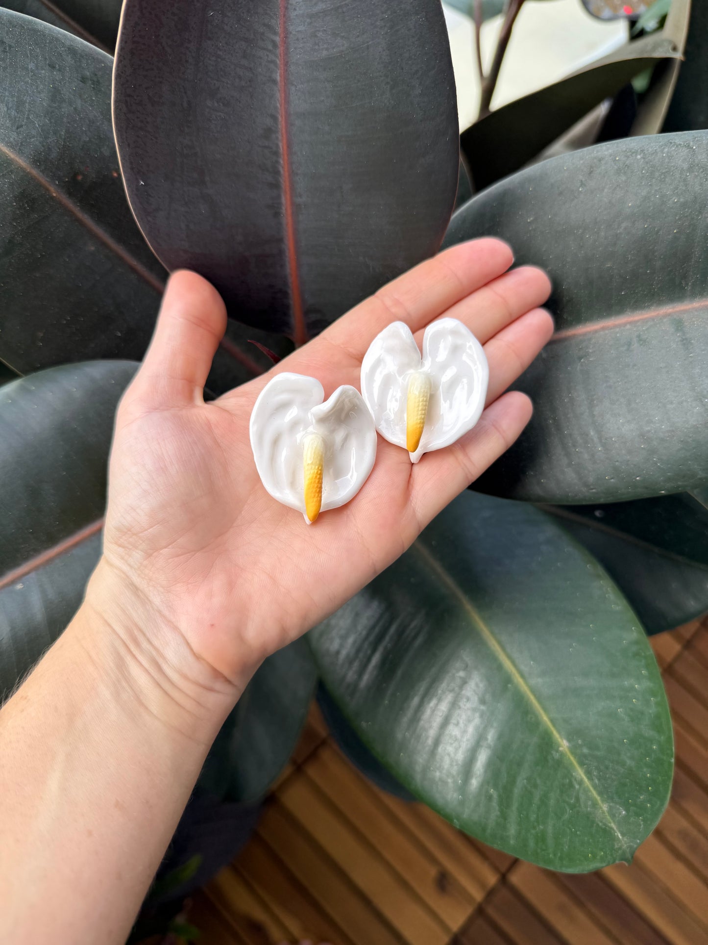 Clip On Earrings