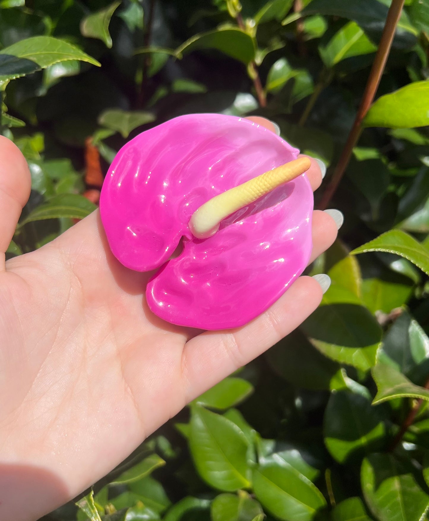 Anthurium Hair Clips