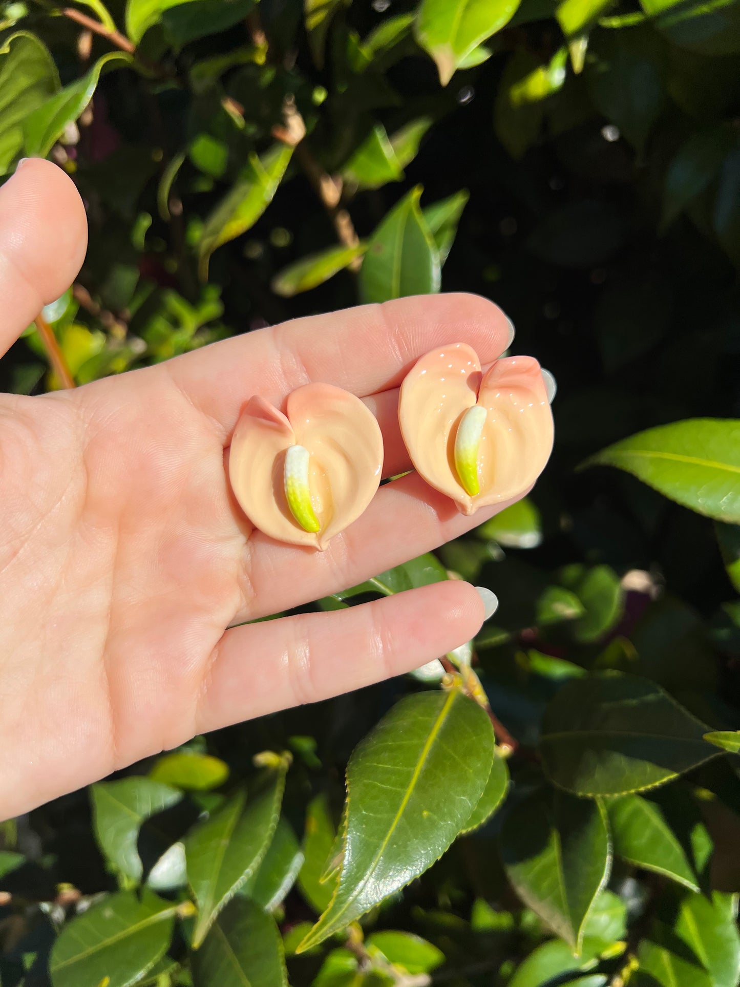 Anthurium Small Stud Creamsicle