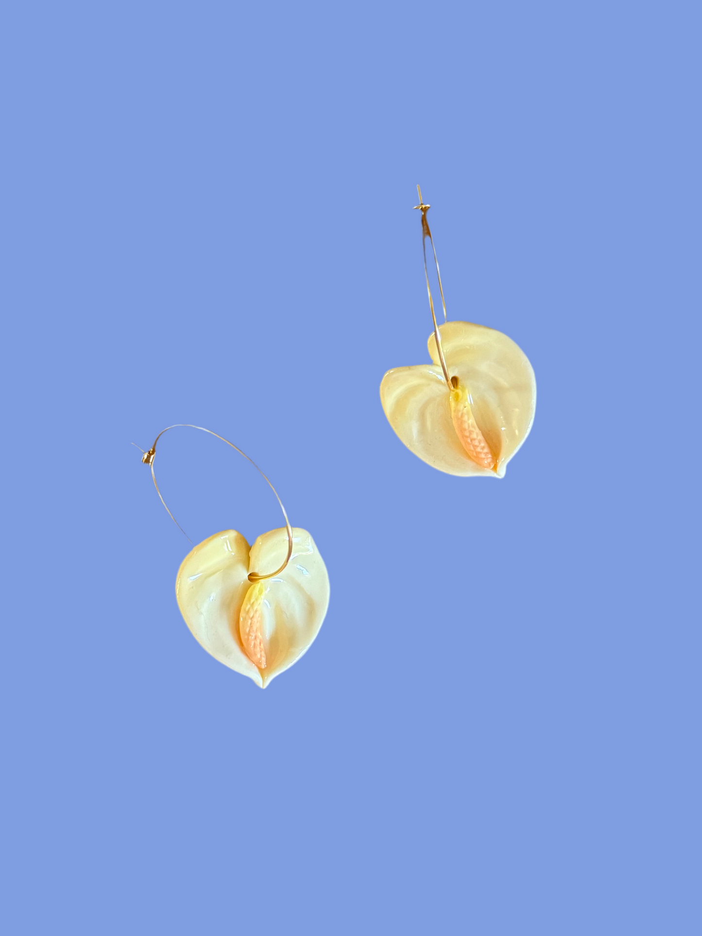 New Anthurium Hoops