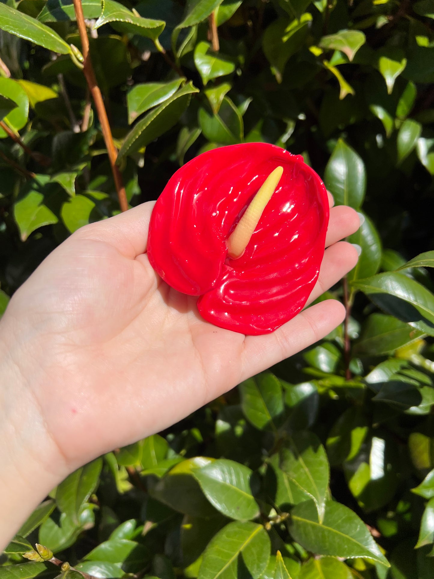 Anthurium Hair Clips