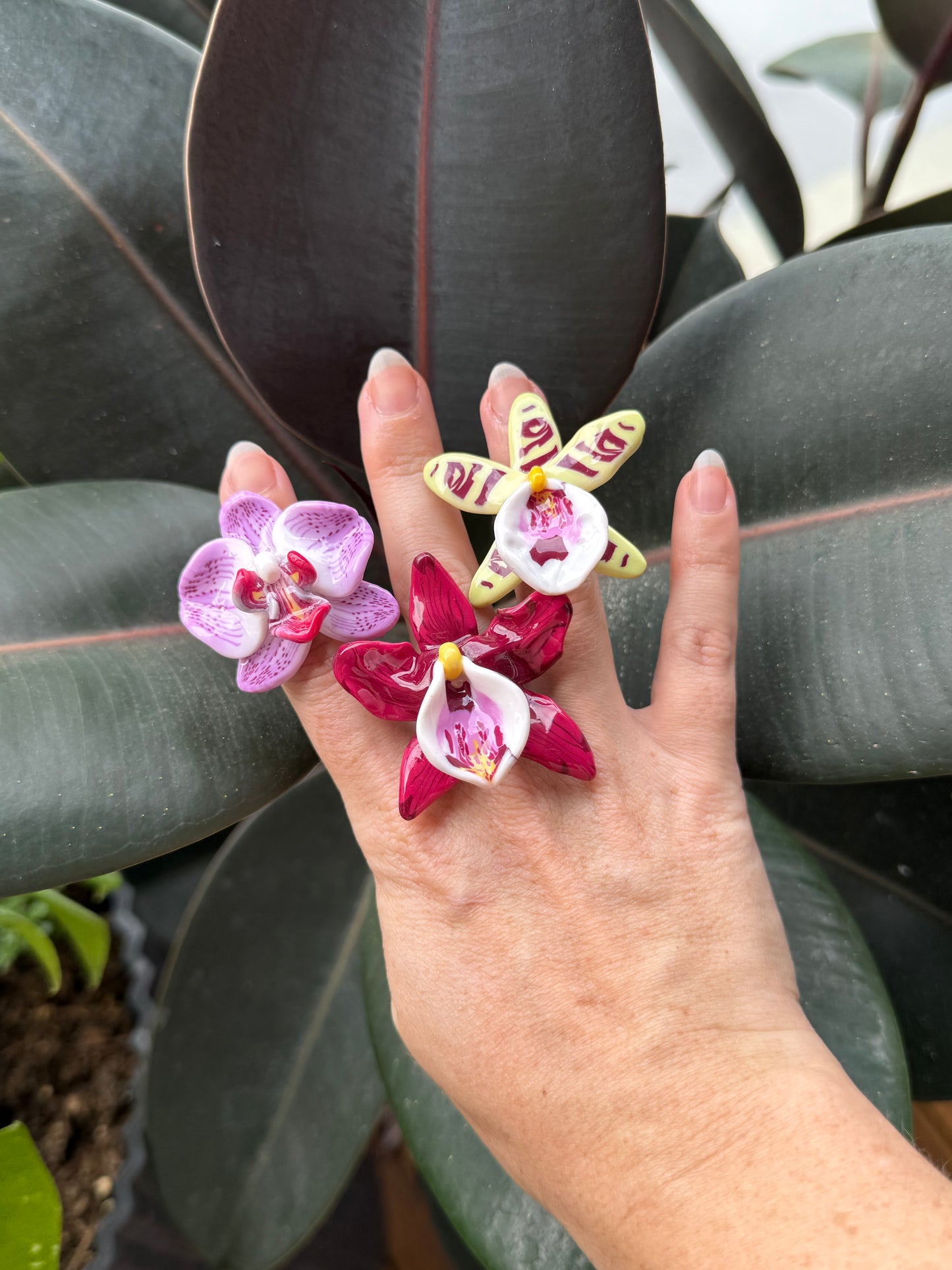 Orchid Rings