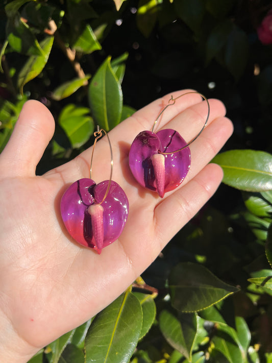 Anthurium Hoop Merlot