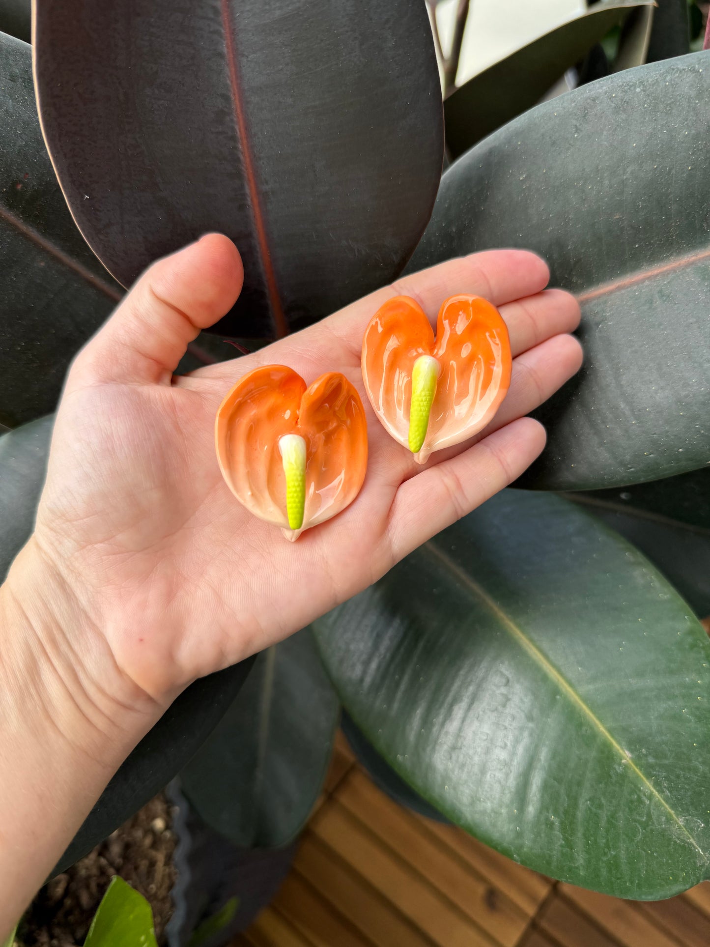 Clip On Earrings