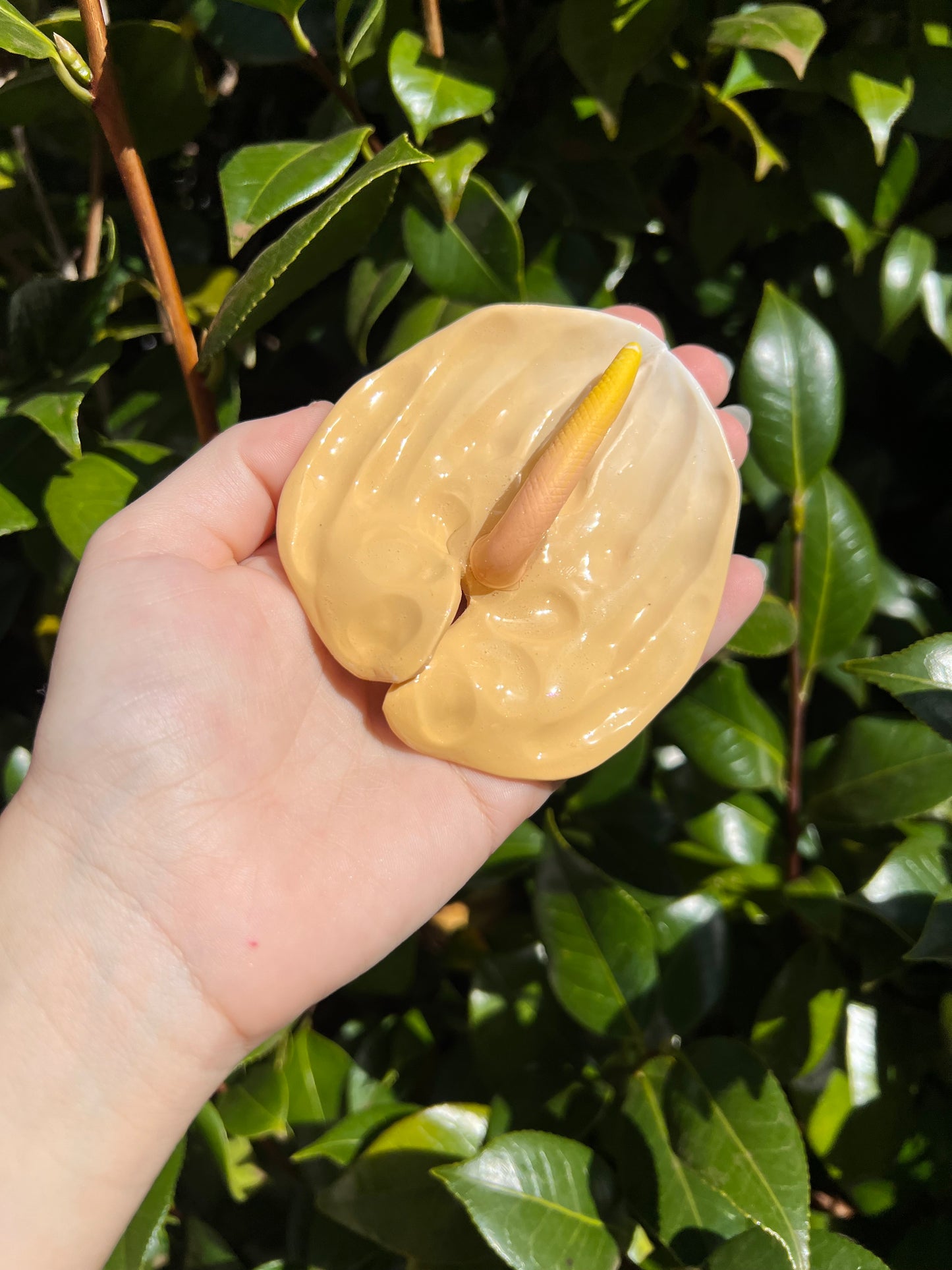 Anthurium Hair Clips