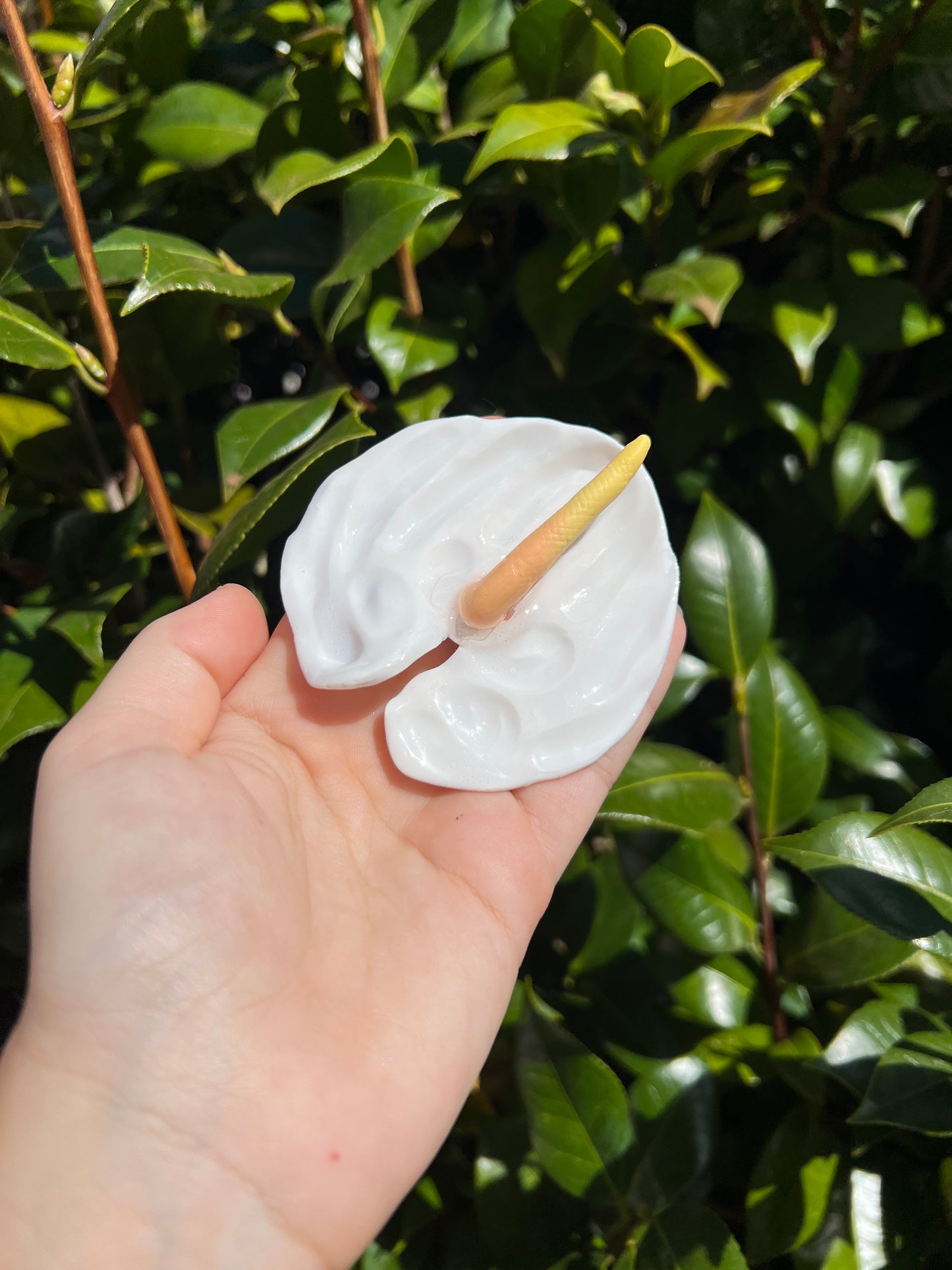 Anthurium Hair Clips