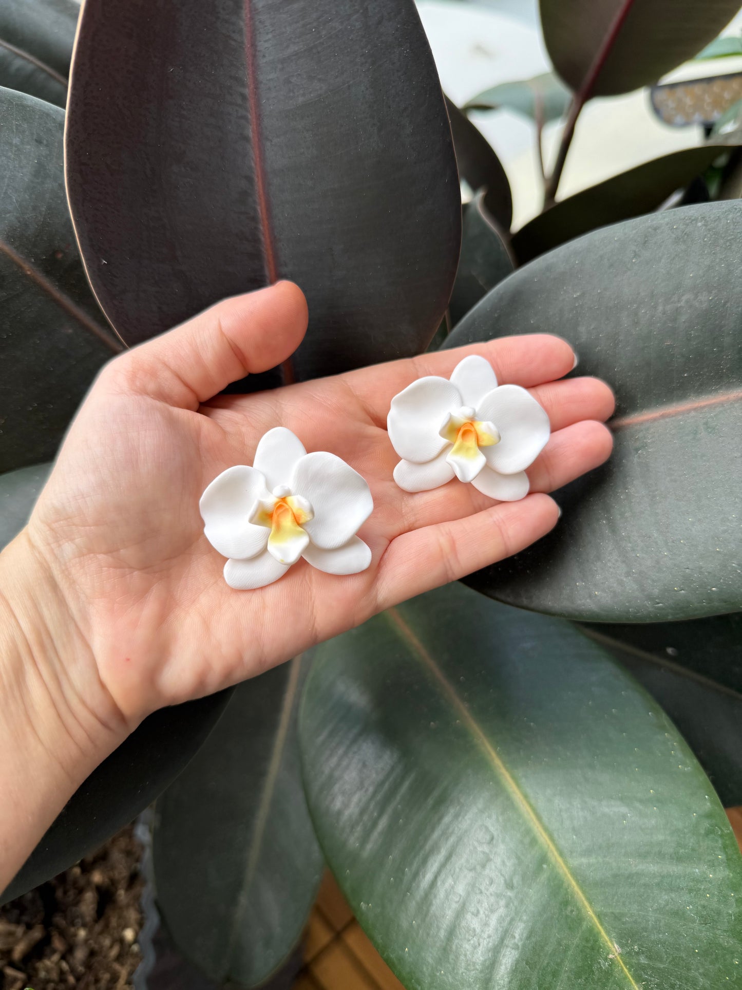 Clip On Earrings