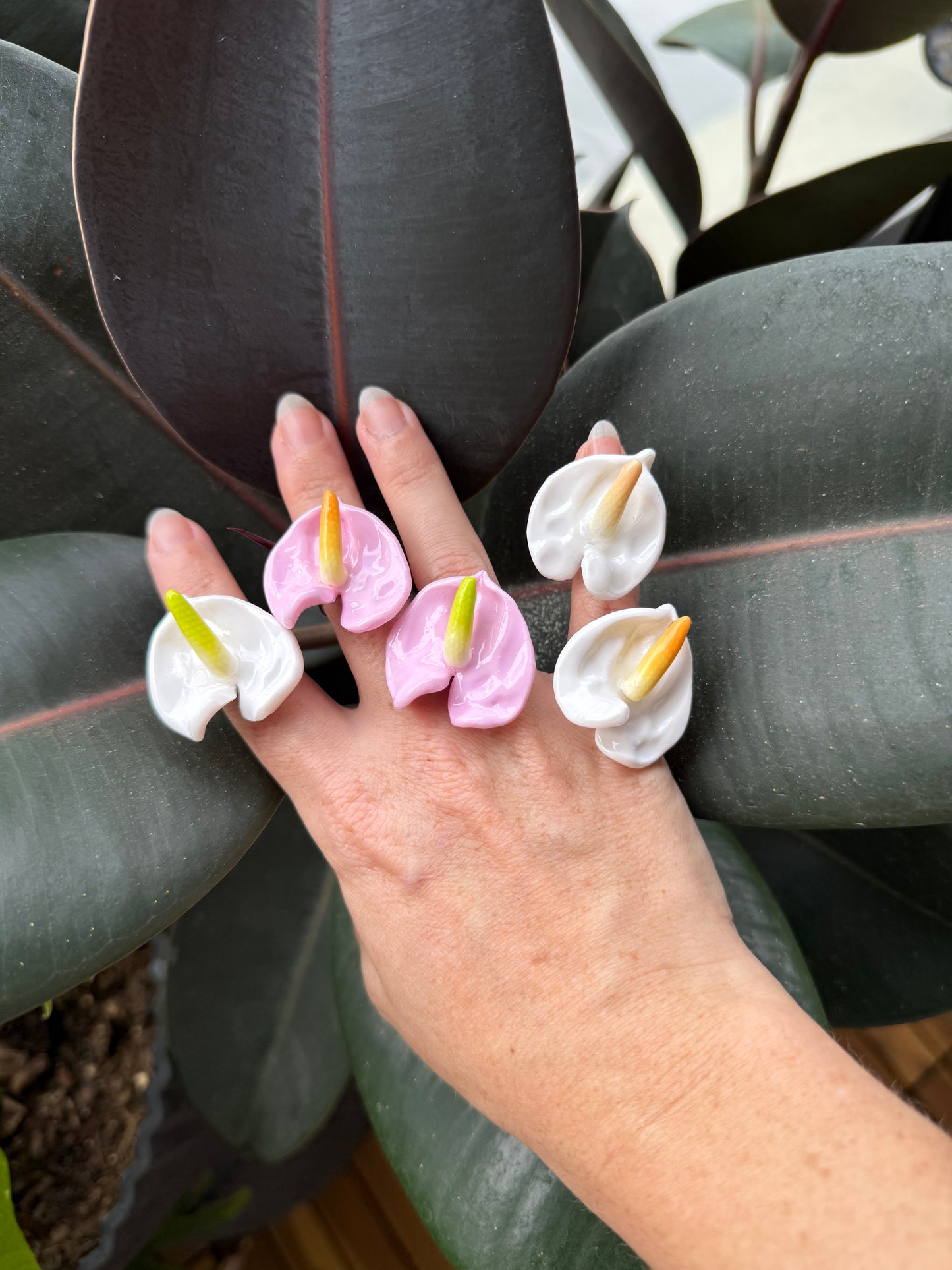 Anthurium Rings