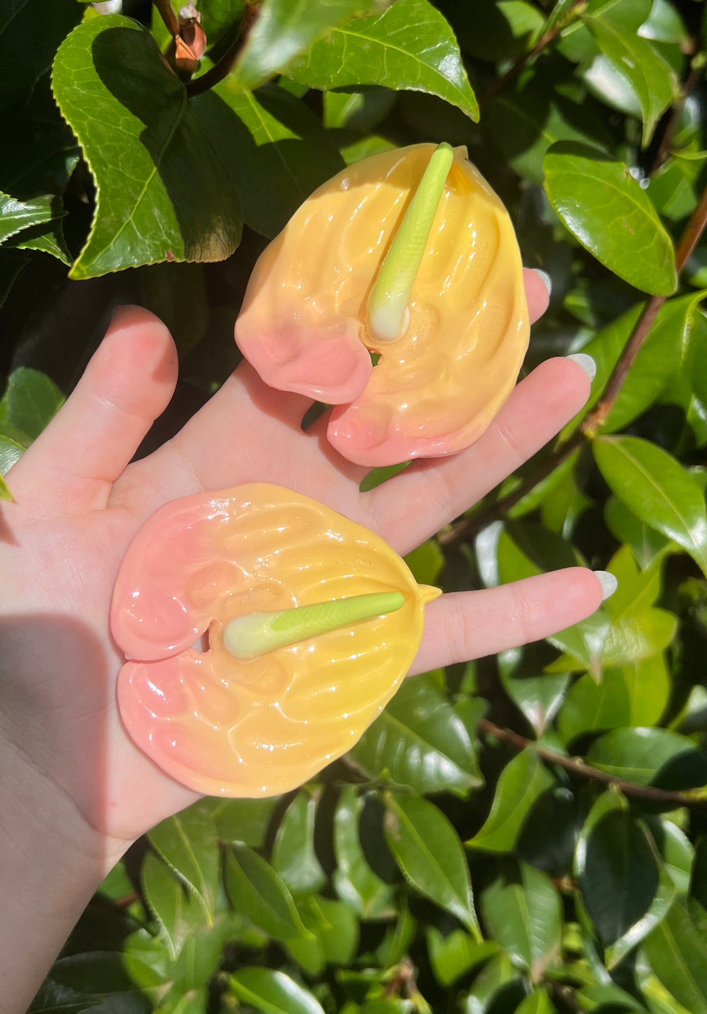 Anthurium Hair Clips