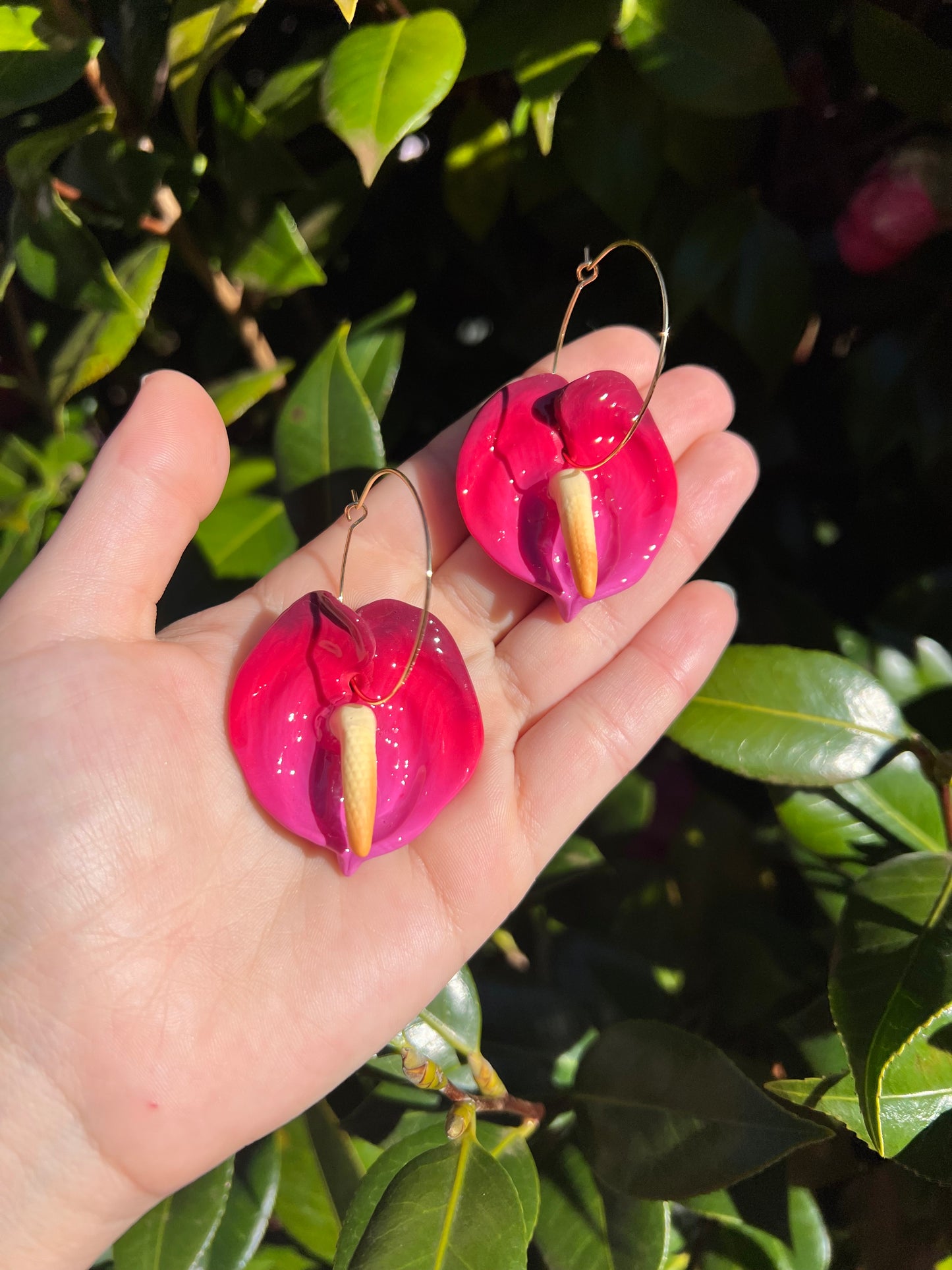 Anthurium Hoop Smitten