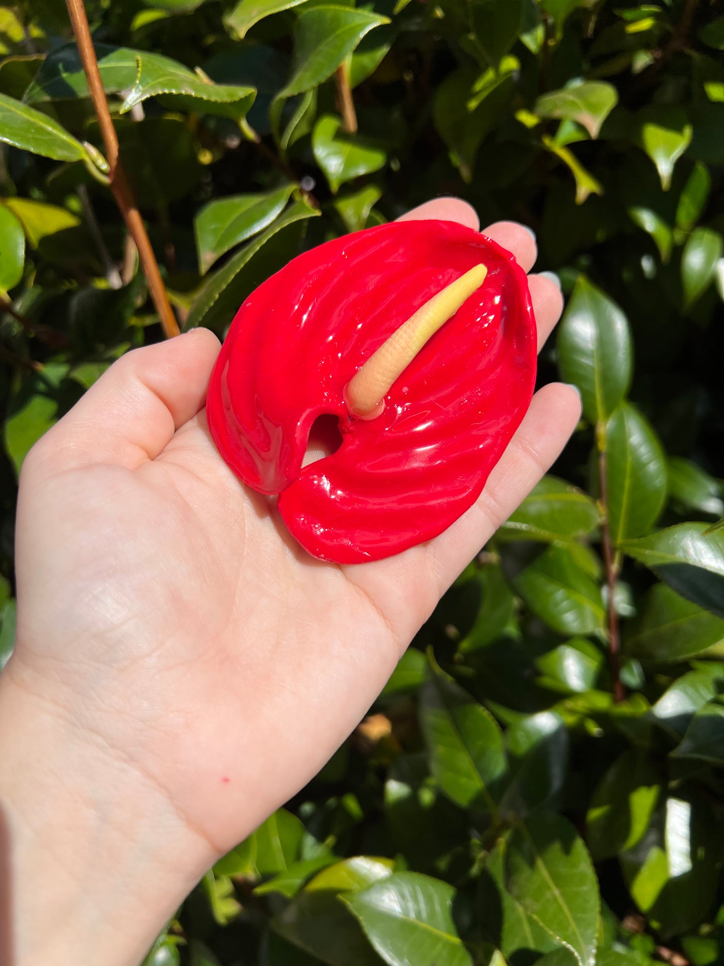 Anthurium Hair Clips