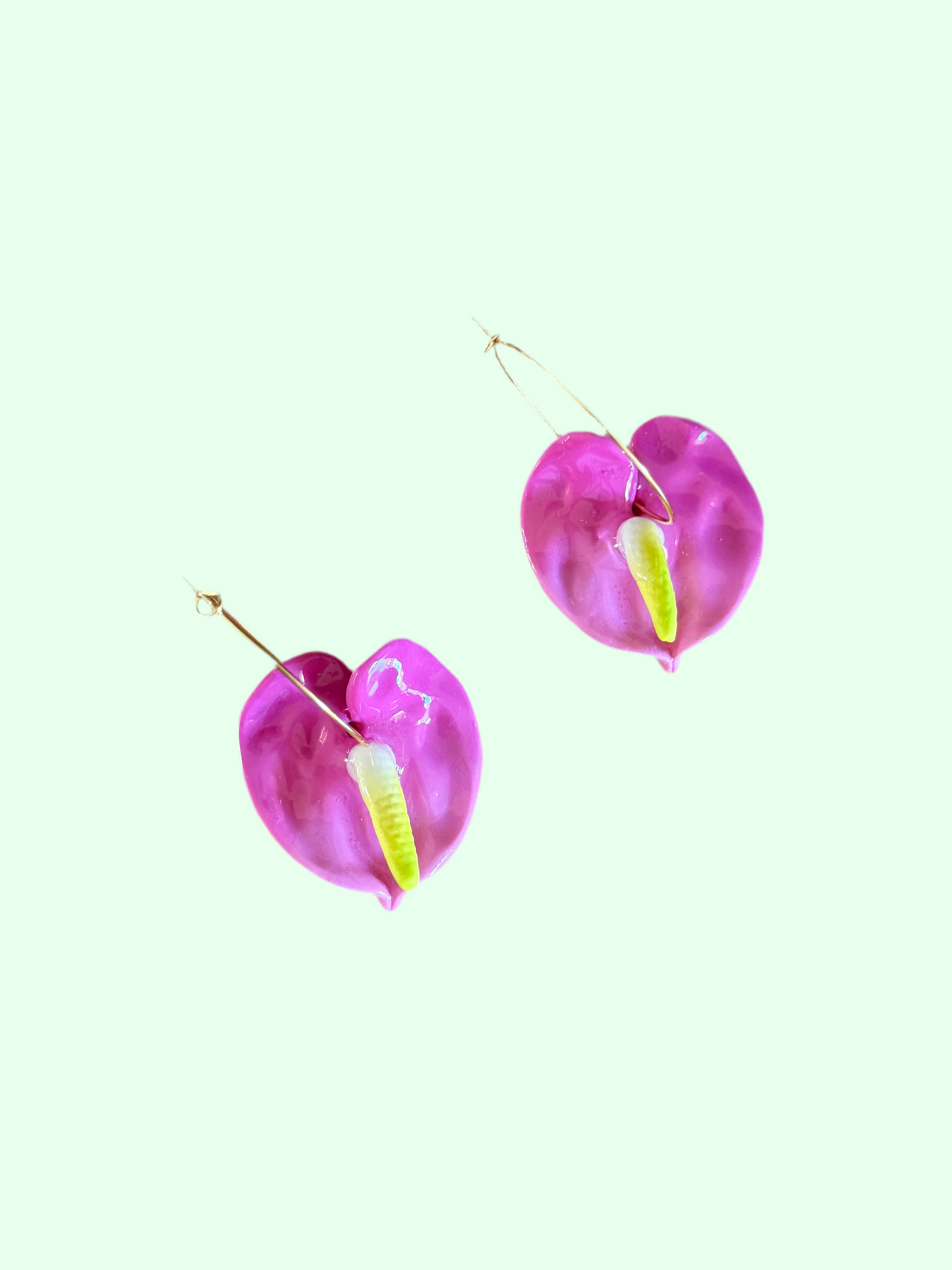 New Anthurium Hoops