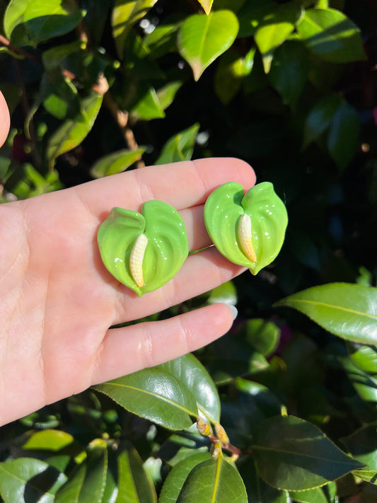 Anthurium Small Stud Envy