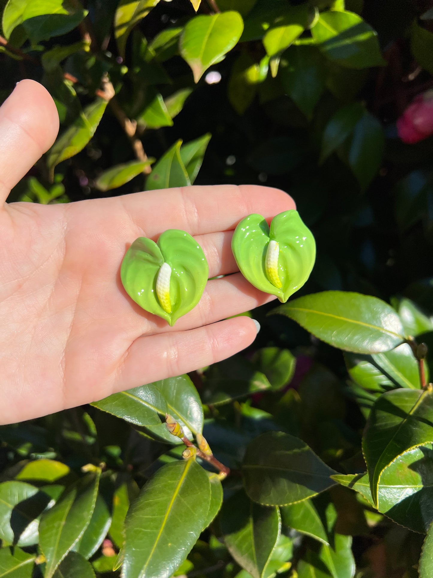 Anthurium Small Stud Envy