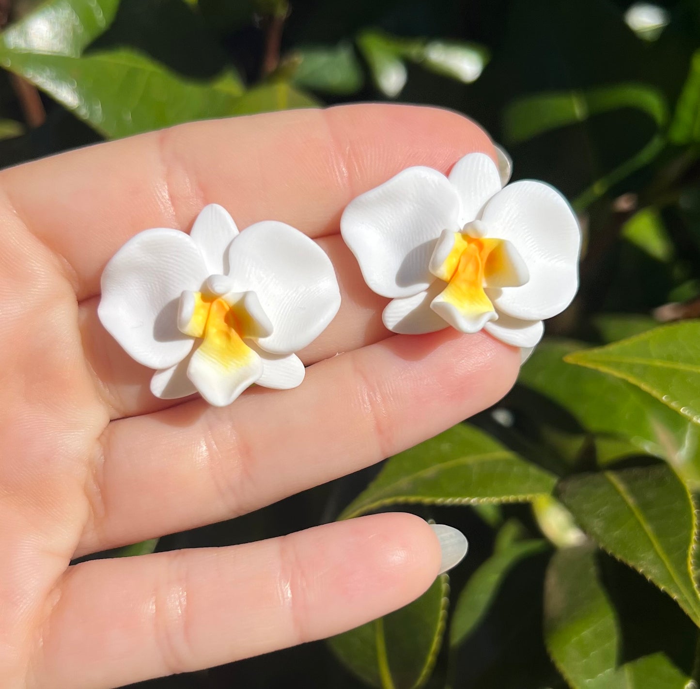 Mini Stud White Orchid