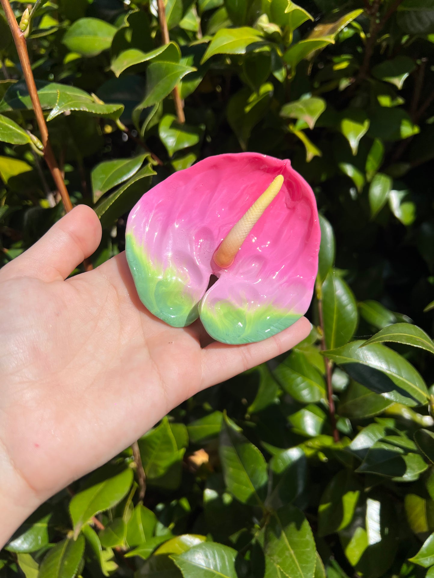 Anthurium Hair Clips